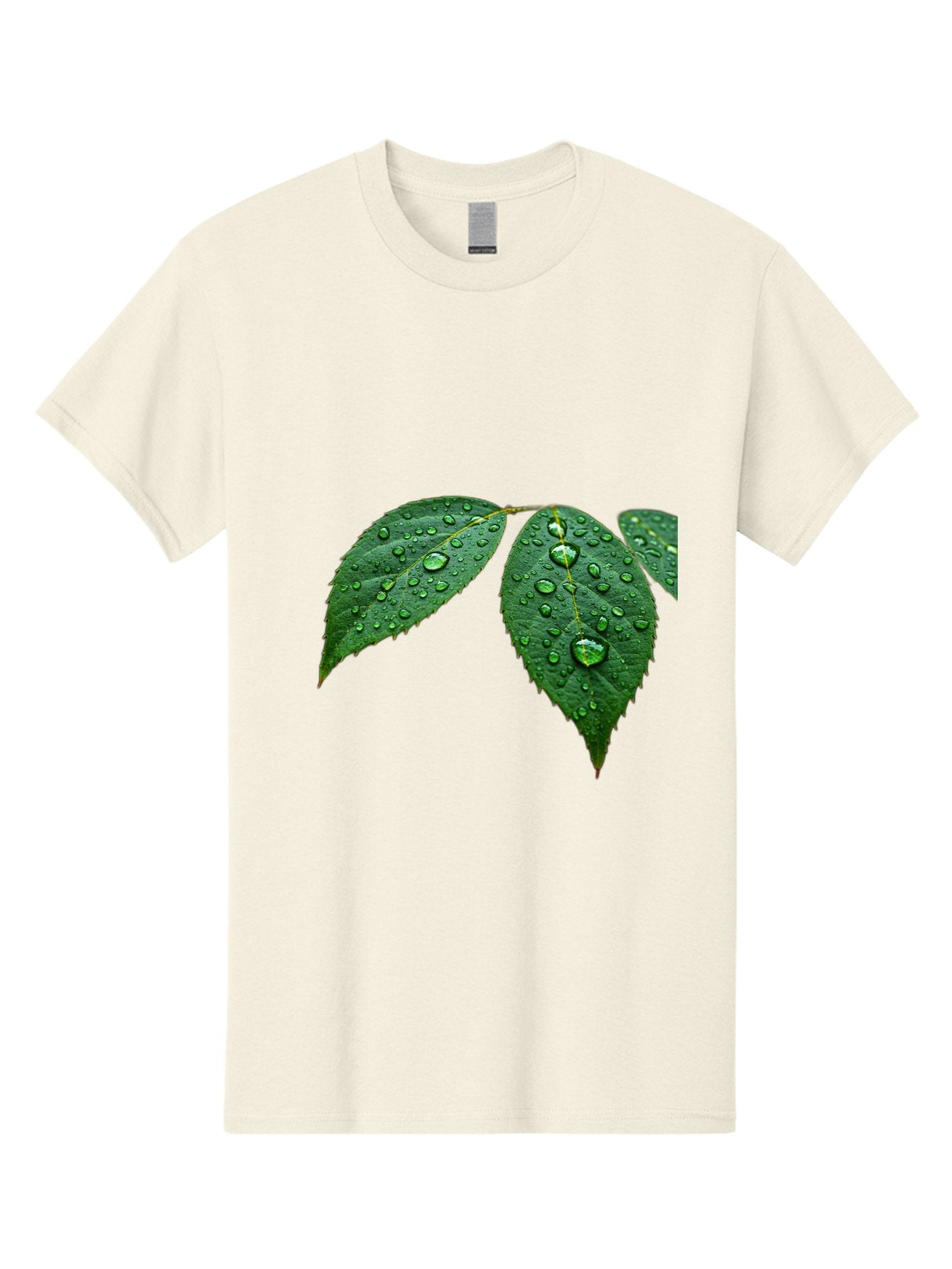 Leaves-With-Water-Droplets Men'S Graphic Tee, 100% Cotton, Comfortable Casual Summer Wear, Machine Washable, Vintage Camera, Old Camera, Antique Camera, Black Camera, Classic Photography, Photography Equipment, Nostalgic Device, Film Camera, Bak803 8