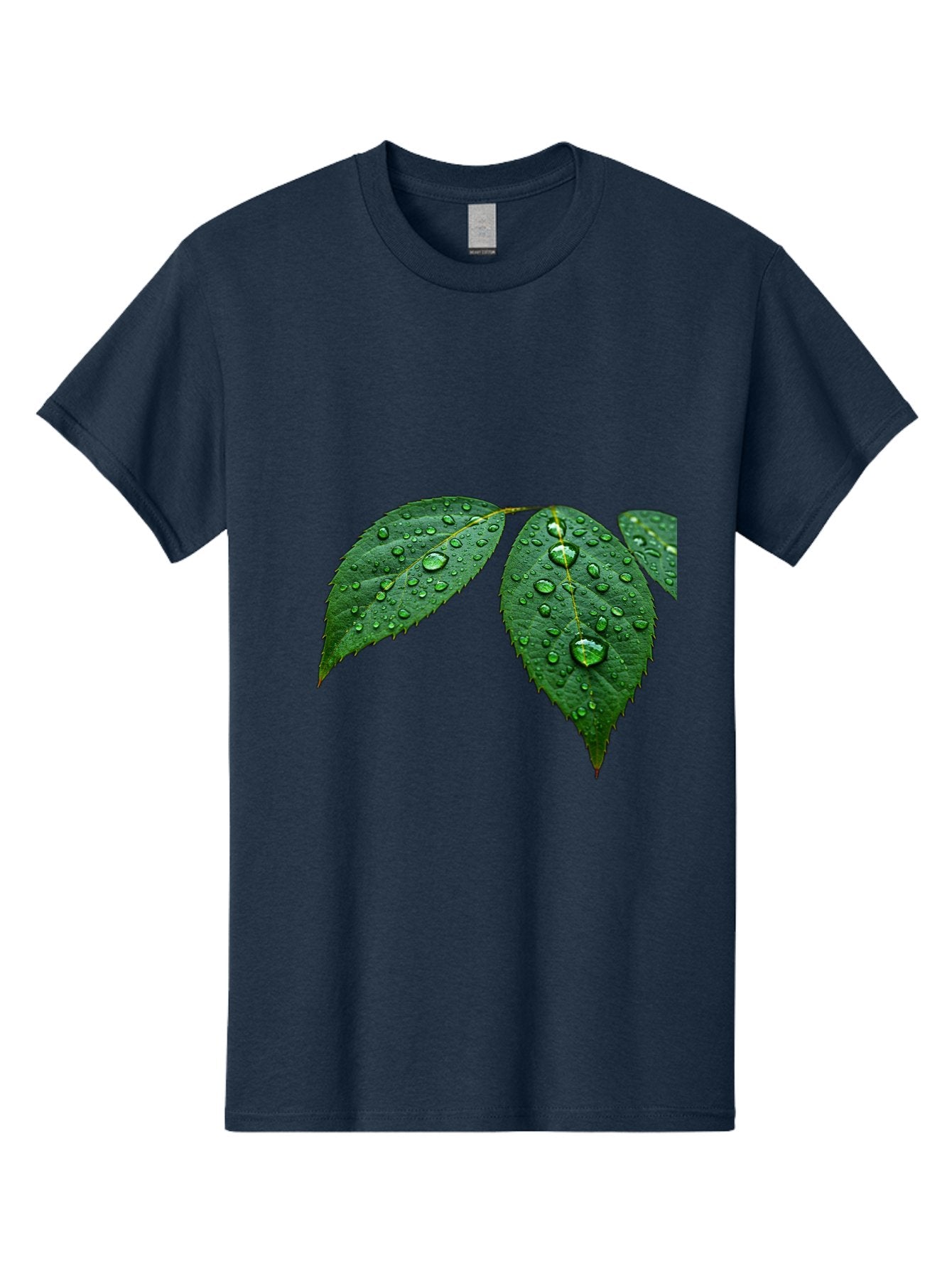 Leaves-With-Water-Droplets Men'S Graphic Tee, 100% Cotton, Comfortable Casual Summer Wear, Machine Washable, Vintage Camera, Old Camera, Antique Camera, Black Camera, Classic Photography, Photography Equipment, Nostalgic Device, Film Camera, Bak803 14