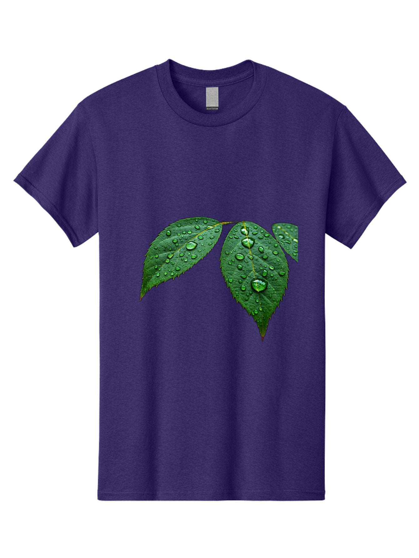 Leaves-With-Water-Droplets Men'S Graphic Tee, 100% Cotton, Comfortable Casual Summer Wear, Machine Washable, Vintage Camera, Old Camera, Antique Camera, Black Camera, Classic Photography, Photography Equipment, Nostalgic Device, Film Camera, Bak803 3