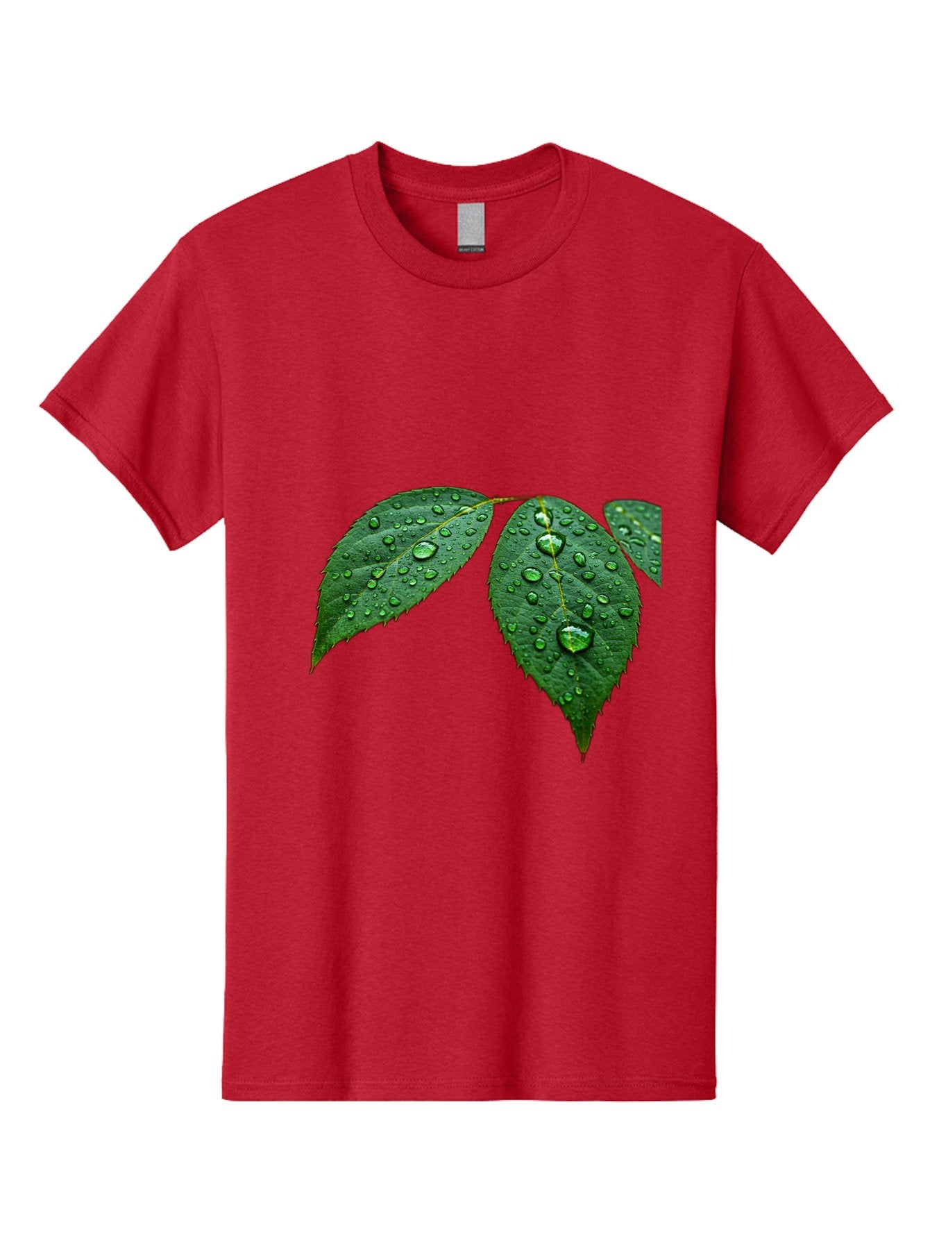 Leaves-With-Water-Droplets Men'S Graphic Tee, 100% Cotton, Comfortable Casual Summer Wear, Machine Washable, Vintage Camera, Old Camera, Antique Camera, Black Camera, Classic Photography, Photography Equipment, Nostalgic Device, Film Camera, Bak803 6