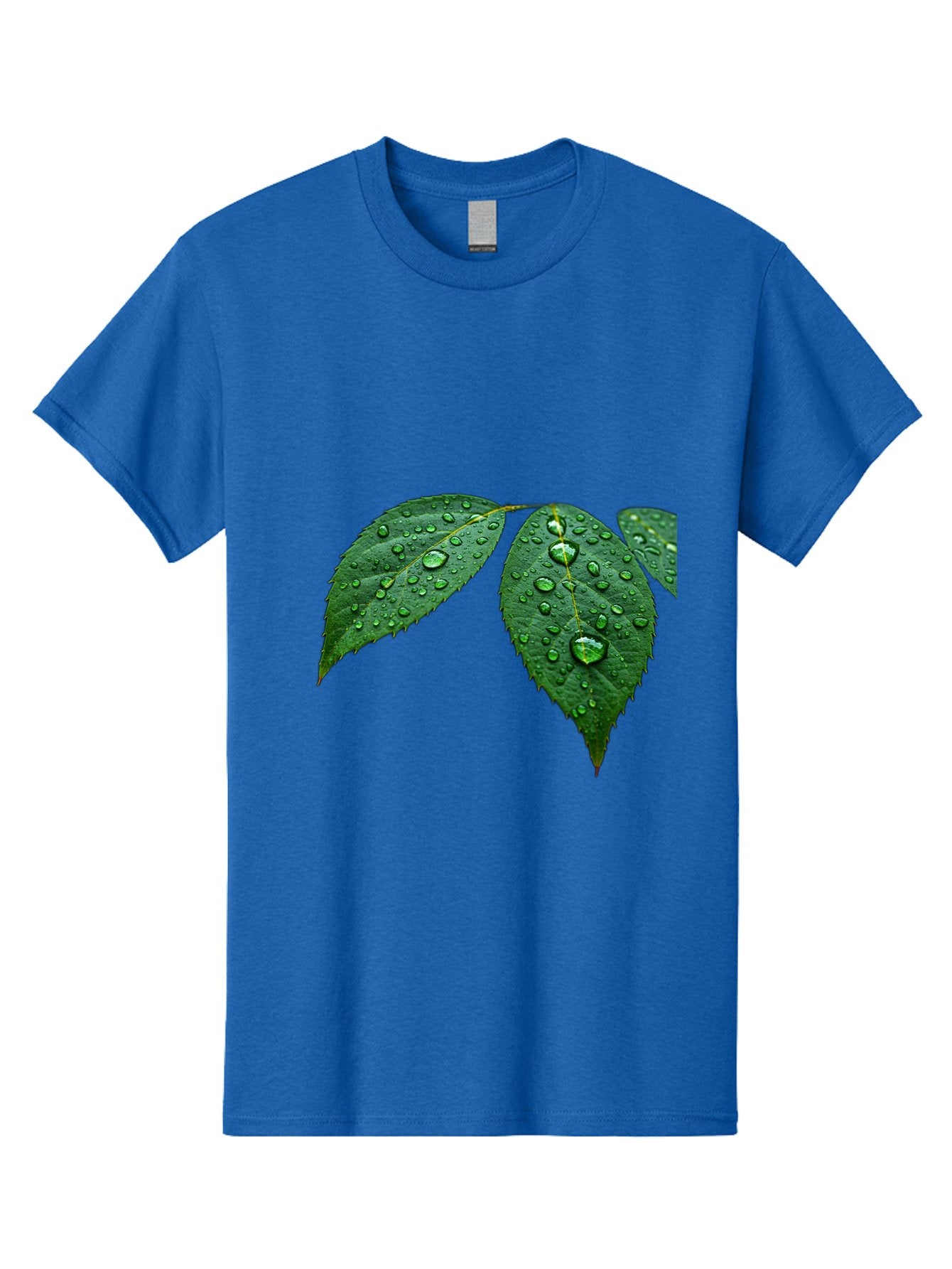 Leaves-With-Water-Droplets Men'S Graphic Tee, 100% Cotton, Comfortable Casual Summer Wear, Machine Washable, Vintage Camera, Old Camera, Antique Camera, Black Camera, Classic Photography, Photography Equipment, Nostalgic Device, Film Camera, Bak803