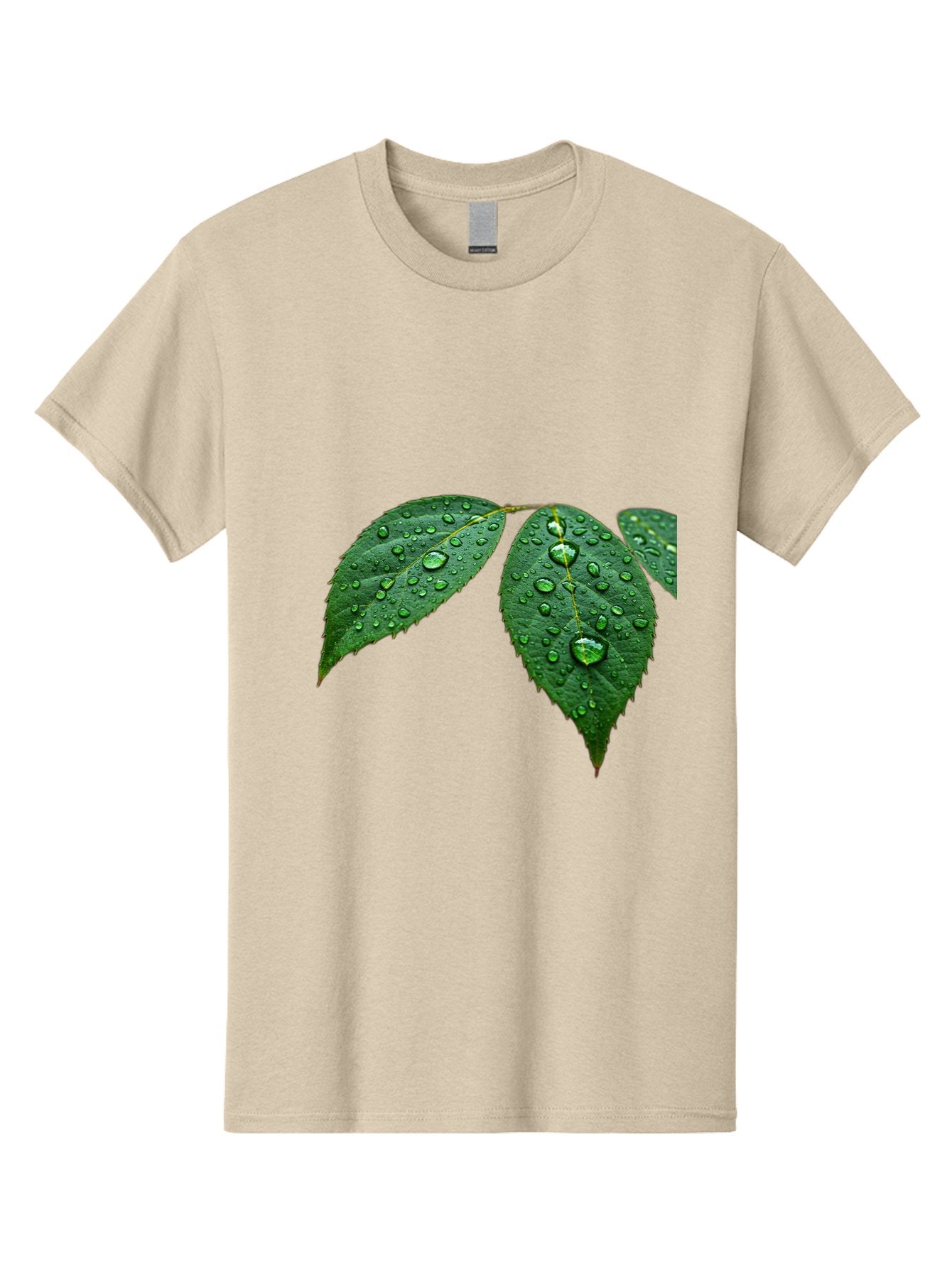 Leaves-With-Water-Droplets Men'S Graphic Tee, 100% Cotton, Comfortable Casual Summer Wear, Machine Washable, Vintage Camera, Old Camera, Antique Camera, Black Camera, Classic Photography, Photography Equipment, Nostalgic Device, Film Camera, Bak803 7