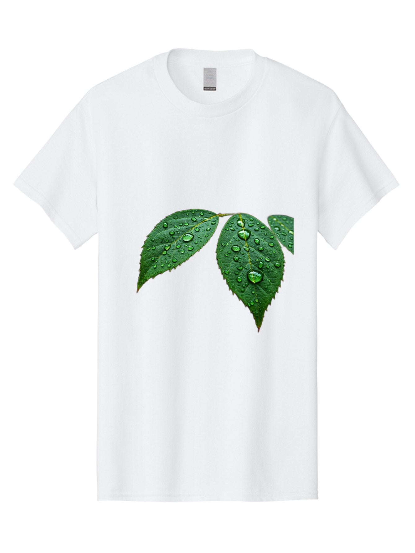 Leaves-With-Water-Droplets Men'S Graphic Tee, 100% Cotton, Comfortable Casual Summer Wear, Machine Washable, Vintage Camera, Old Camera, Antique Camera, Black Camera, Classic Photography, Photography Equipment, Nostalgic Device, Film Camera, Bak803 12
