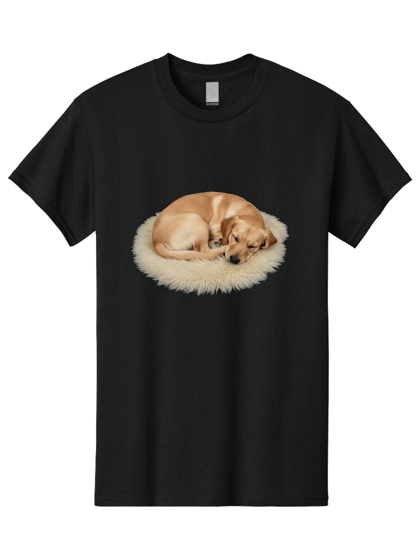 Sleeping-Dog Men'S Graphic Tee, 100% Cotton, Comfortable Casual Summer Wear, Machine Washable, Vintage Camera, Old Camera, Antique Camera, Black Camera, Classic Photography, Photography Equipment, Nostalgic Device, Film Camera, Camera Art Bal343 13