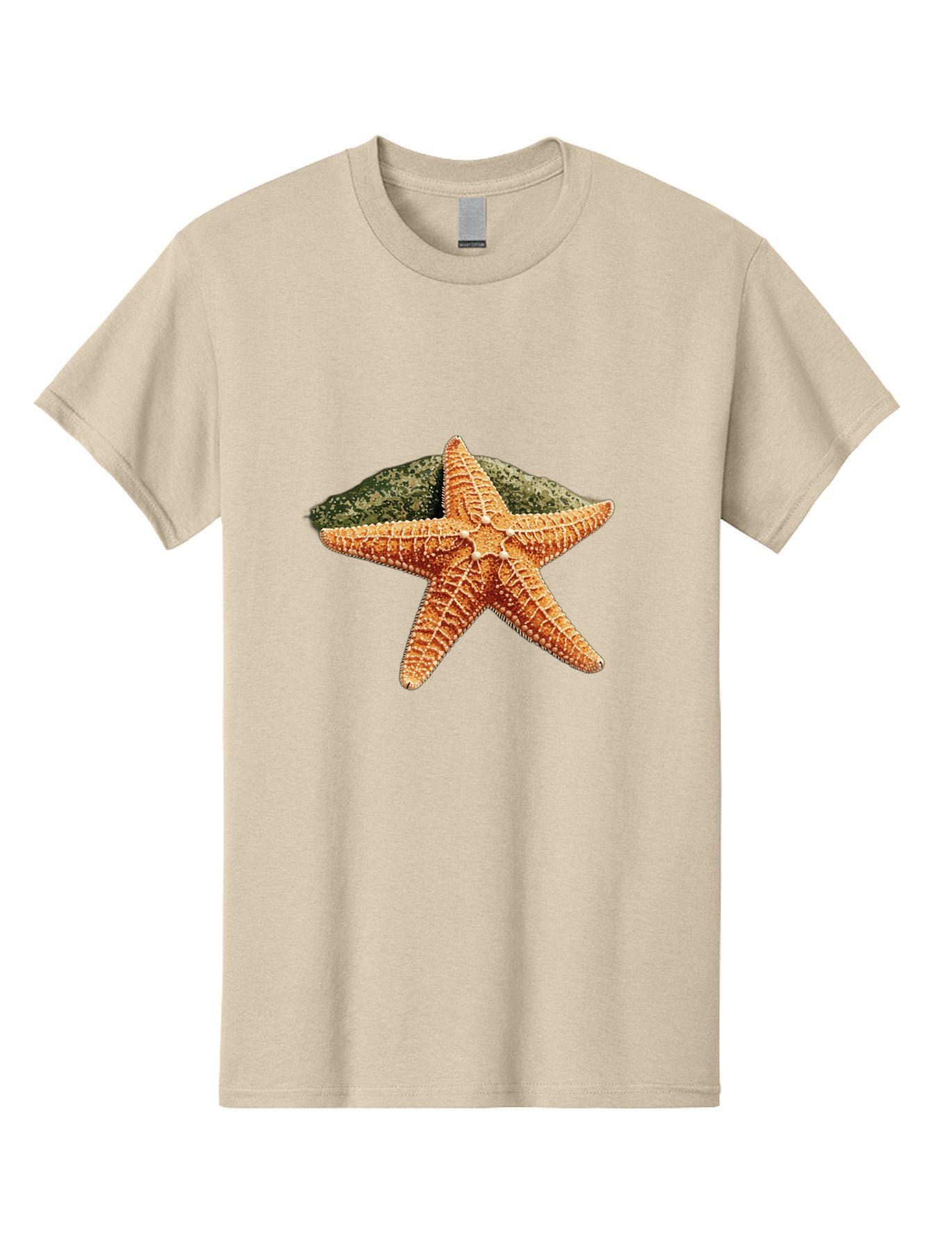 Starfish-3 Men'S Graphic Tee, 100% Cotton, Comfortable Casual Summer Wear, Machine Washable, Vintage Camera, Old Camera, Antique Camera, Black Camera, Classic Photography, Photography Equipment, Nostalgic Device, Film Camera, Camera Art Bal396 4