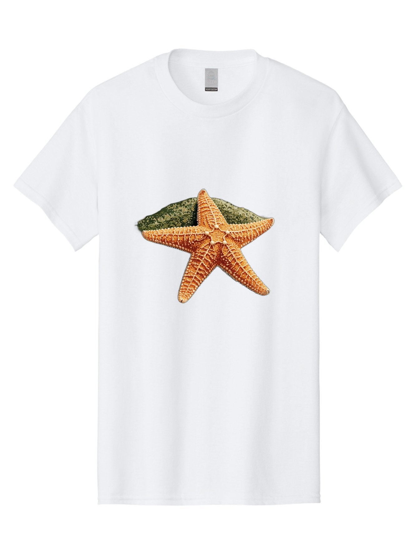 Starfish-3 Men'S Graphic Tee, 100% Cotton, Comfortable Casual Summer Wear, Machine Washable, Vintage Camera, Old Camera, Antique Camera, Black Camera, Classic Photography, Photography Equipment, Nostalgic Device, Film Camera, Camera Art Bal396 12