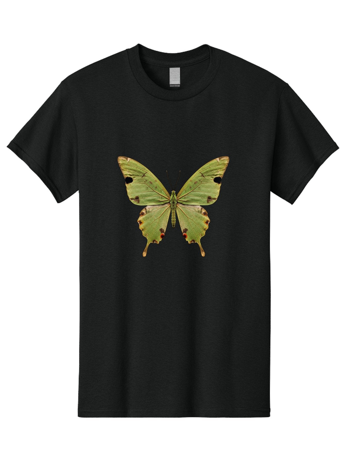 Butterfly-1 Men'S Graphic Tee, 100% Cotton, Comfortable Casual Summer Wear, Machine Washable, Vintage Camera, Old Camera, Antique Camera, Black Camera, Classic Photography, Photography Equipment, Nostalgic Device, Film Camera, Camera Art Bal909 13