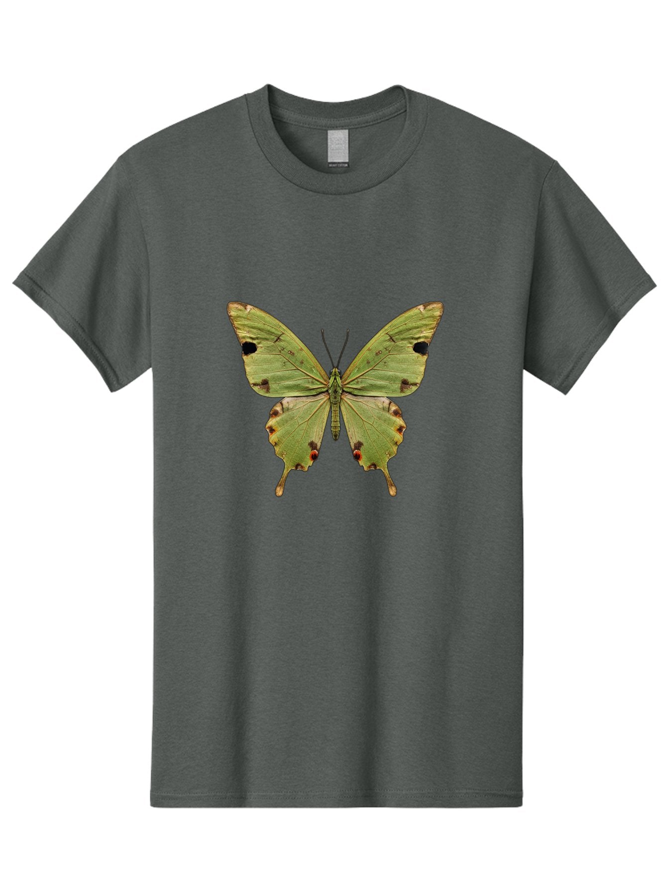 Butterfly-1 Men'S Graphic Tee, 100% Cotton, Comfortable Casual Summer Wear, Machine Washable, Vintage Camera, Old Camera, Antique Camera, Black Camera, Classic Photography, Photography Equipment, Nostalgic Device, Film Camera, Camera Art Bal909 6