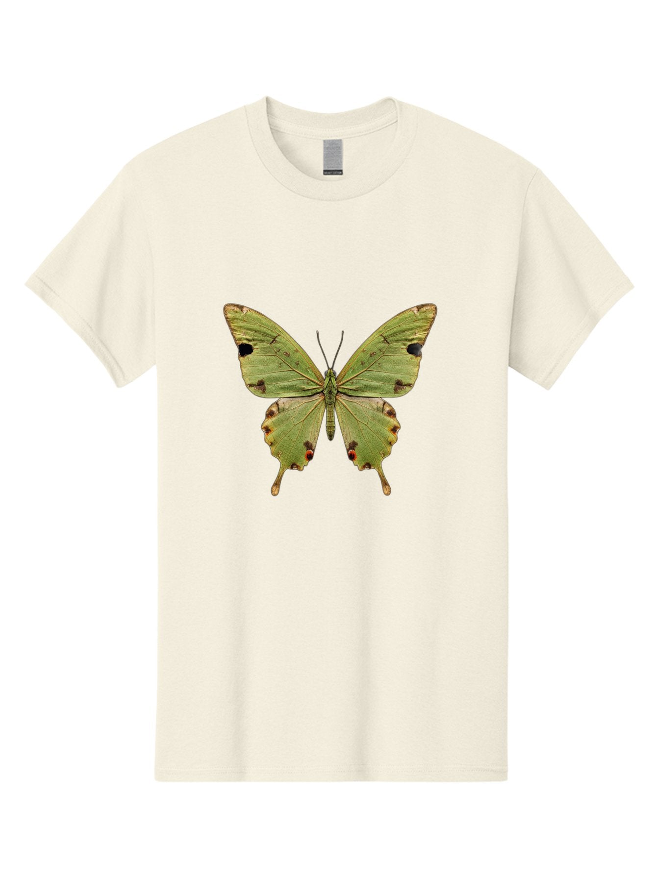 Butterfly-1 Men'S Graphic Tee, 100% Cotton, Comfortable Casual Summer Wear, Machine Washable, Vintage Camera, Old Camera, Antique Camera, Black Camera, Classic Photography, Photography Equipment, Nostalgic Device, Film Camera, Camera Art Bal909