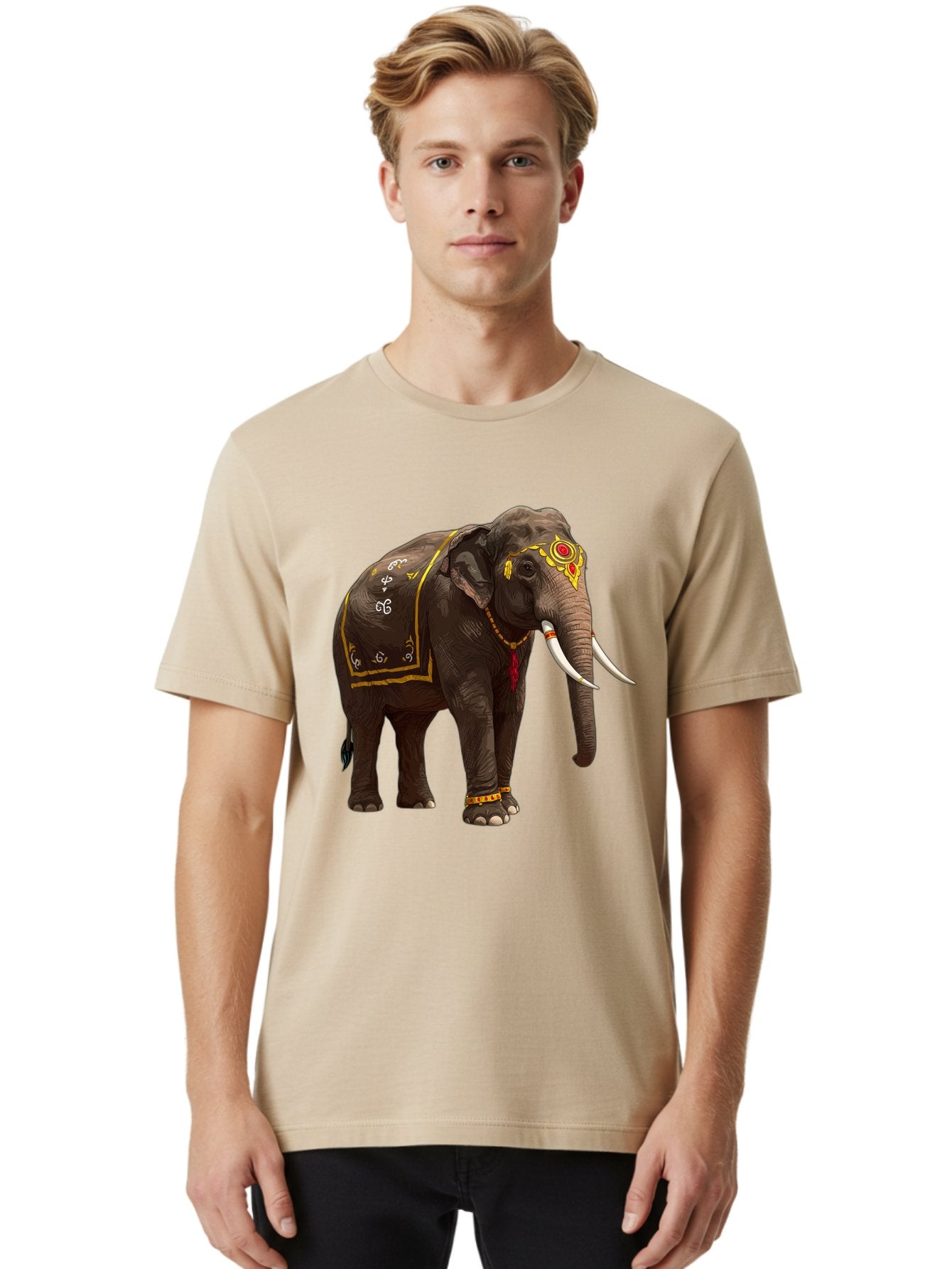 Decorated-Elephant Men'S Graphic Tee, 100% Cotton, Comfortable Casual Summer Wear, Machine Washable, Vintage Camera, Old Camera, Antique Camera, Black Camera, Classic Photography, Photography Equipment, Nostalgic Device, Film Camera, Bam237 22