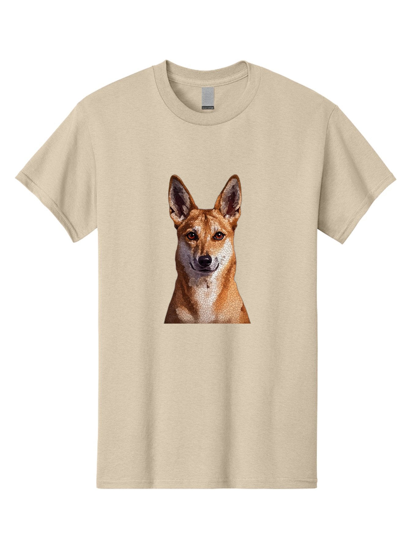 Dingo Men'S Graphic Tee, 100% Cotton, Comfortable Casual Summer Wear, Machine Washable, Vintage Camera, Old Camera, Antique Camera, Black Camera, Classic Photography, Photography Equipment, Nostalgic Device, Film Camera, Camera Art Bam261 8