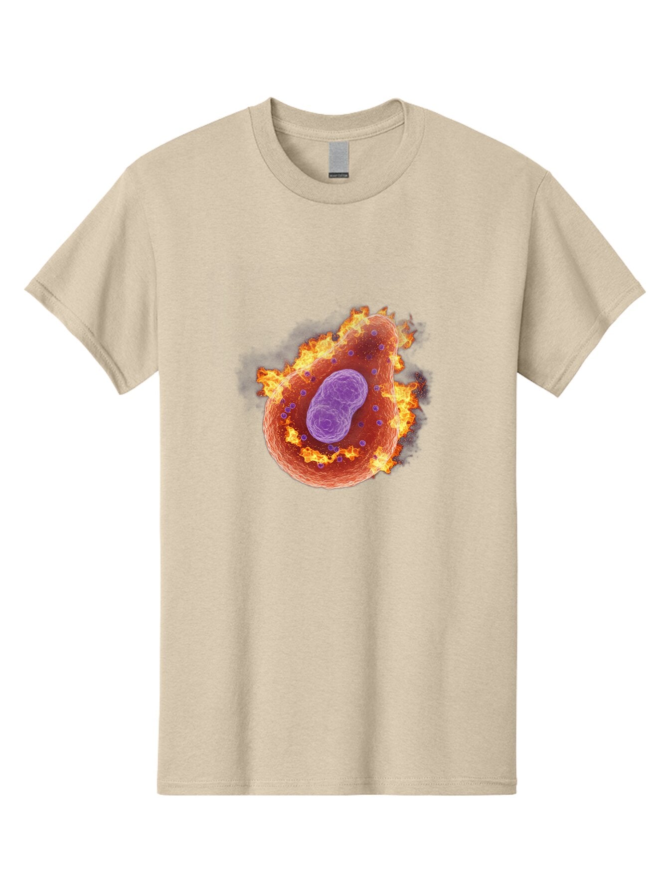 Pyroptosis-Cell Men'S Graphic Tee, 100% Cotton, Comfortable Casual Summer Wear, Machine Washable, Vintage Camera, Old Camera, Antique Camera, Black Camera, Classic Photography, Photography Equipment, Nostalgic Device, Film Camera, Camera Art Ban233 9