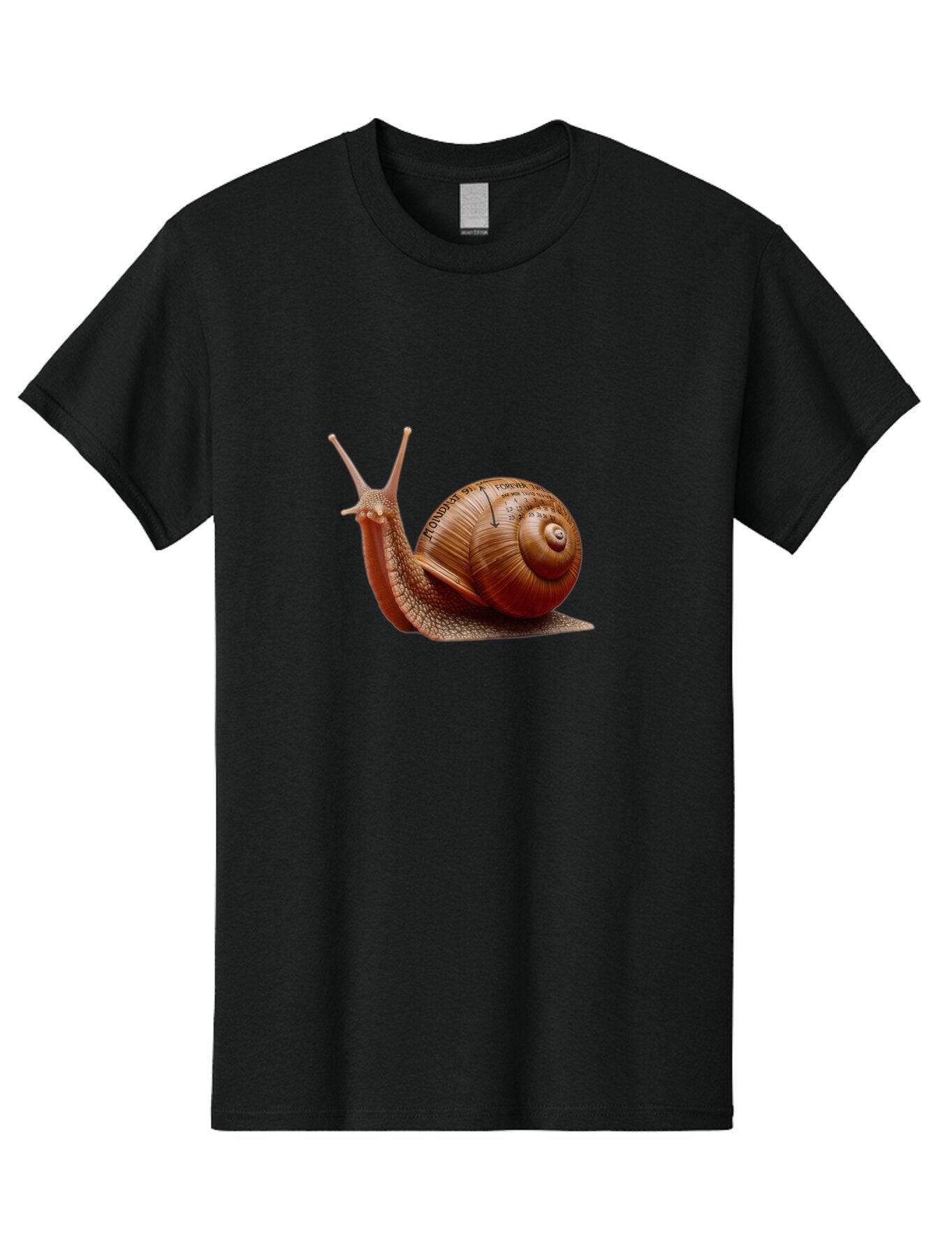 Snail-With-Illegible-Text Men'S Graphic Tee, 100% Cotton, Comfortable Casual Summer Wear, Machine Washable, Vintage Camera, Old Camera, Antique Camera, Black Camera, Classic Photography, Photography Equipment, Nostalgic Device, Film Camera, Ban568 7