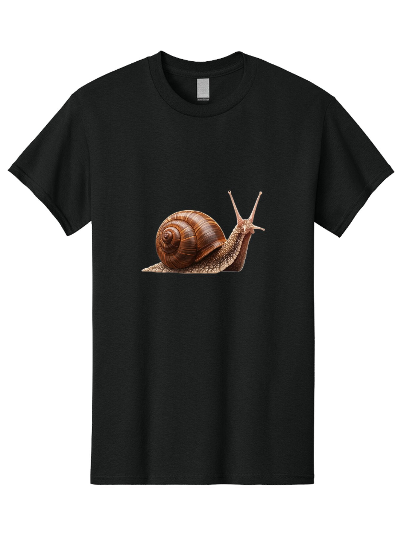 Snail Men'S Graphic Tee, 100% Cotton, Comfortable Casual Summer Wear, Machine Washable, Vintage Camera, Old Camera, Antique Camera, Black Camera, Classic Photography, Photography Equipment, Nostalgic Device, Film Camera, Camera Art Ban572 14