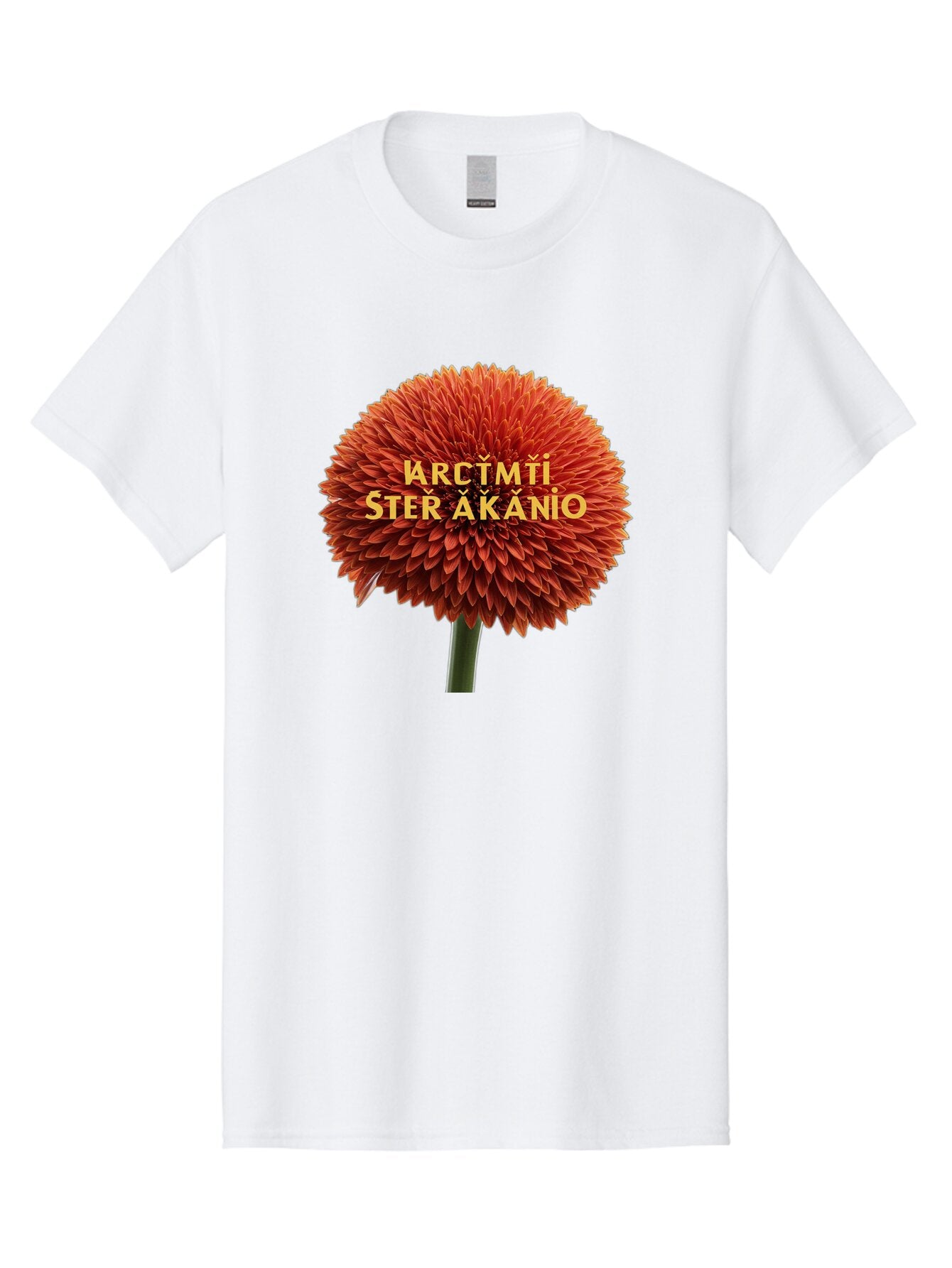 Arctmti-Ster-Akanio Men'S Graphic Tee, 100% Cotton, Comfortable Casual Summer Wear, Machine Washable, Vintage Camera, Old Camera, Antique Camera, Black Camera, Classic Photography, Photography Equipment, Nostalgic Device, Film Camera, Bao079 10