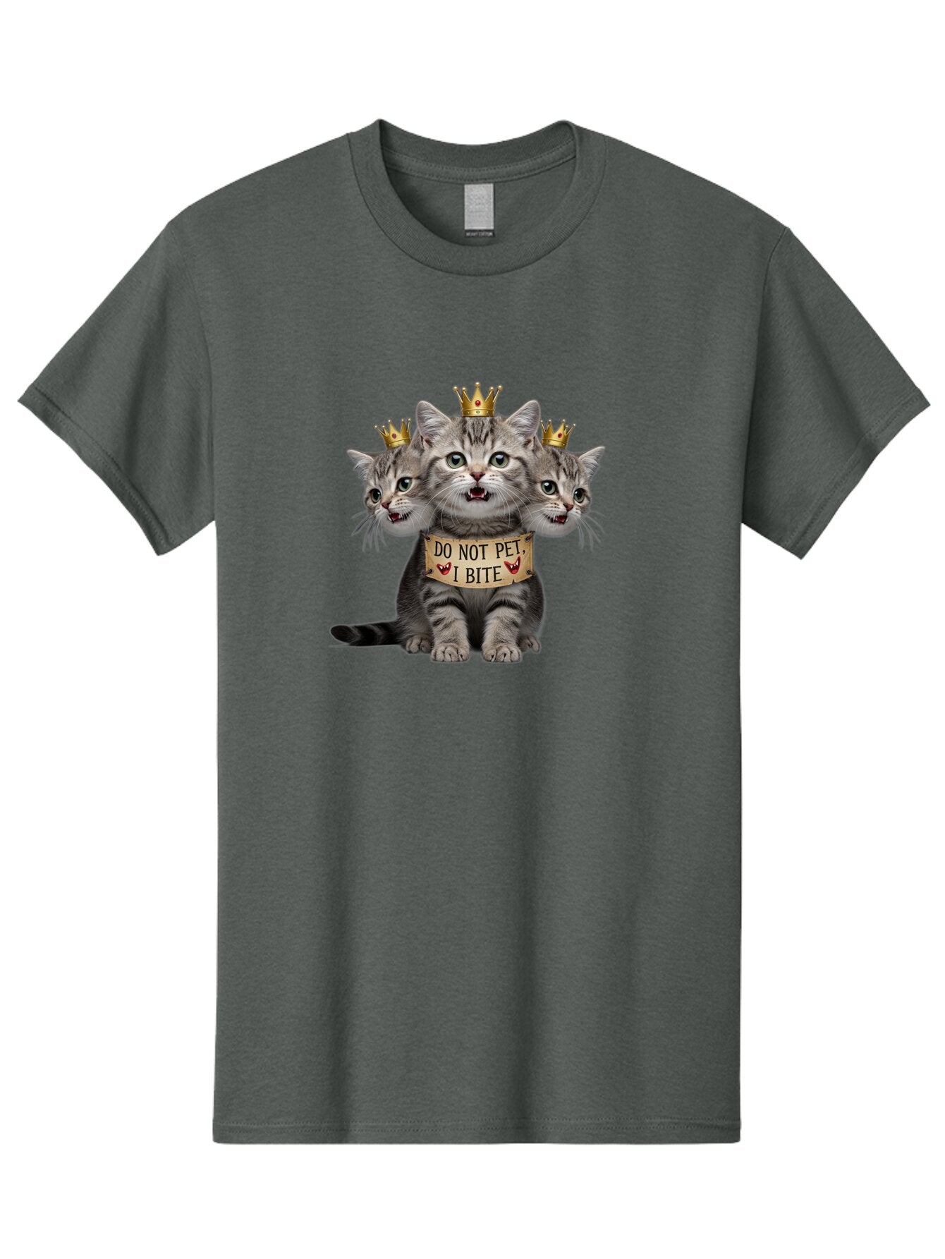 Do-Not-Pet-I-Bite-Kitten Men'S Graphic Tee, 100% Cotton, Comfortable Casual Summer Wear, Machine Washable, Vintage Camera, Old Camera, Antique Camera, Black Camera, Classic Photography, Photography Equipment, Nostalgic Device, Film Camera, Bao356 13