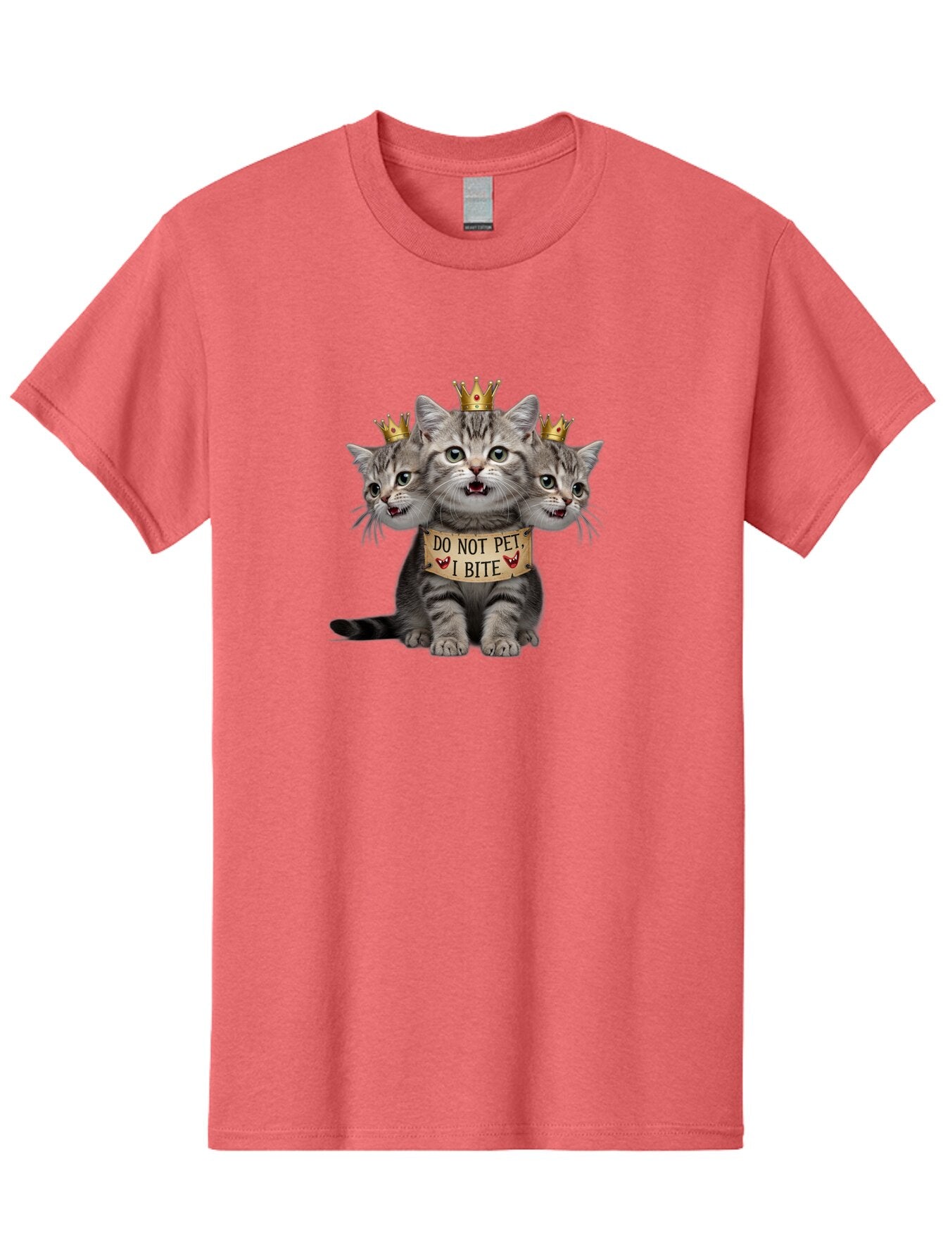 Do-Not-Pet-I-Bite-Kitten Men'S Graphic Tee, 100% Cotton, Comfortable Casual Summer Wear, Machine Washable, Vintage Camera, Old Camera, Antique Camera, Black Camera, Classic Photography, Photography Equipment, Nostalgic Device, Film Camera, Bao356 11