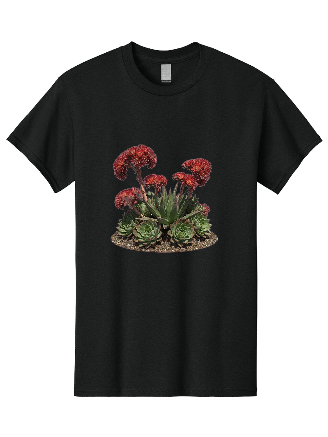 Sempervivum-Tectorum Men'S Graphic Tee, 100% Cotton, Comfortable Casual Summer Wear, Machine Washable, Vintage Camera, Old Camera, Antique Camera, Black Camera, Classic Photography, Photography Equipment, Nostalgic Device, Film Camera, Bao852 10