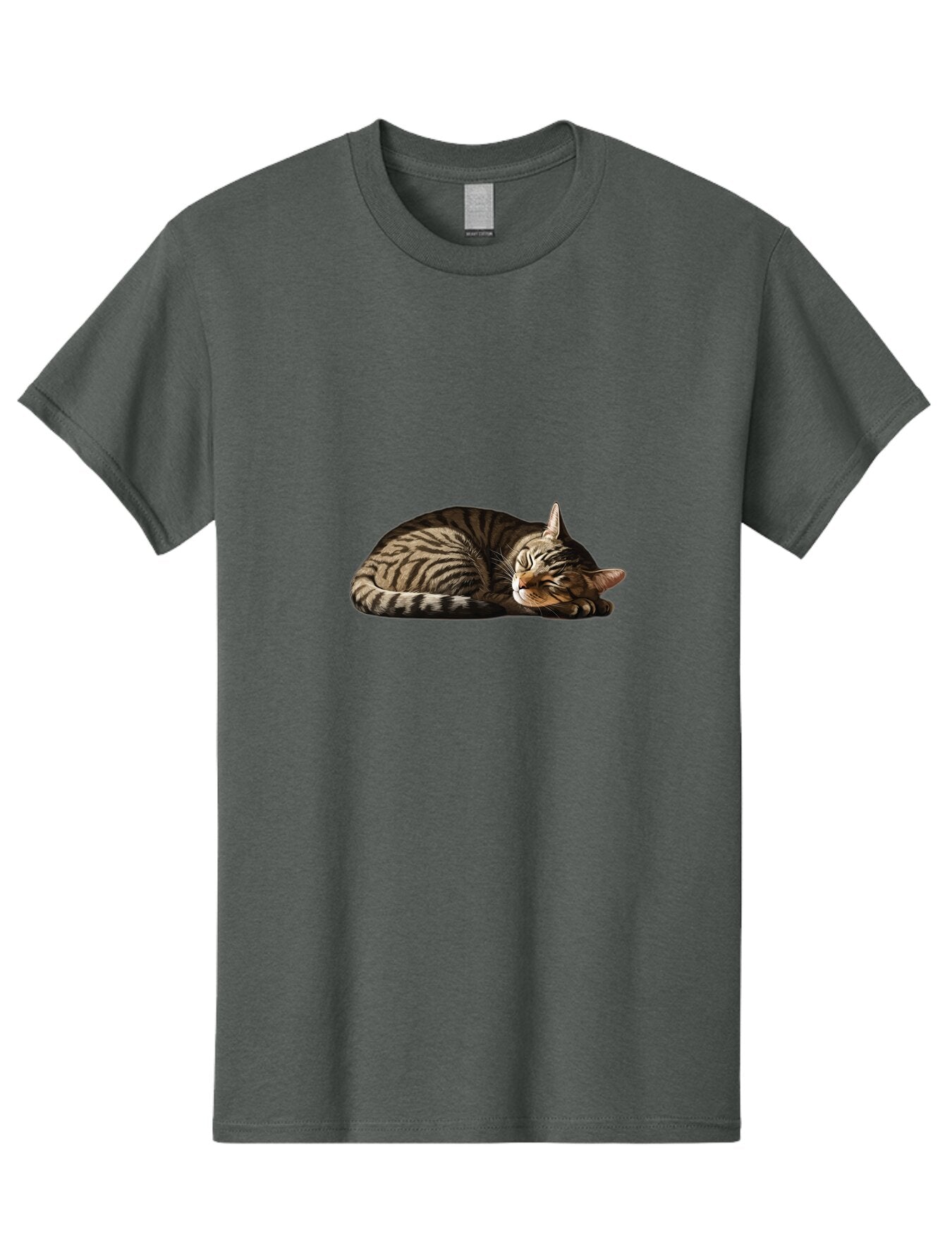 Sleeping-Tabby-Cat-2 Men'S Graphic Tee, 100% Cotton, Comfortable Casual Summer Wear, Machine Washable, Vintage Camera, Old Camera, Antique Camera, Black Camera, Classic Photography, Photography Equipment, Nostalgic Device, Film Camera, Bao886 4