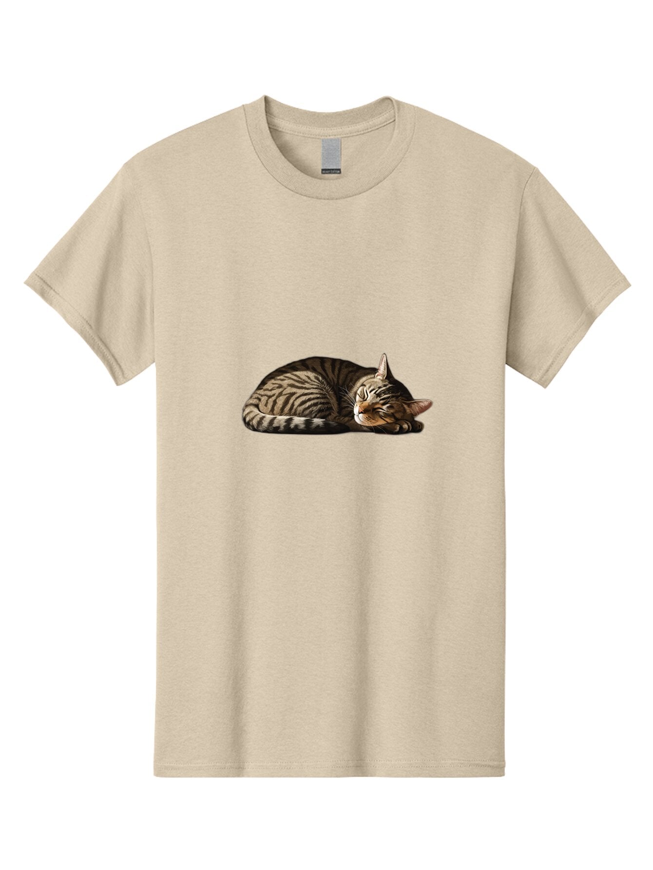 Sleeping-Tabby-Cat-2 Men'S Graphic Tee, 100% Cotton, Comfortable Casual Summer Wear, Machine Washable, Vintage Camera, Old Camera, Antique Camera, Black Camera, Classic Photography, Photography Equipment, Nostalgic Device, Film Camera, Bao886 9