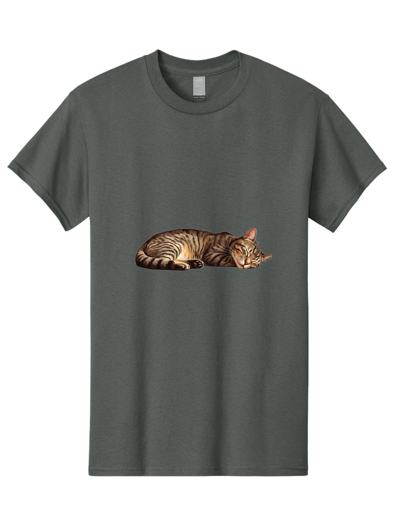 Sleeping-Tabby-Cat-4 Men'S Graphic Tee, 100% Cotton, Comfortable Casual Summer Wear, Machine Washable, Vintage Camera, Old Camera, Antique Camera, Black Camera, Classic Photography, Photography Equipment, Nostalgic Device, Film Camera, Bao888 11