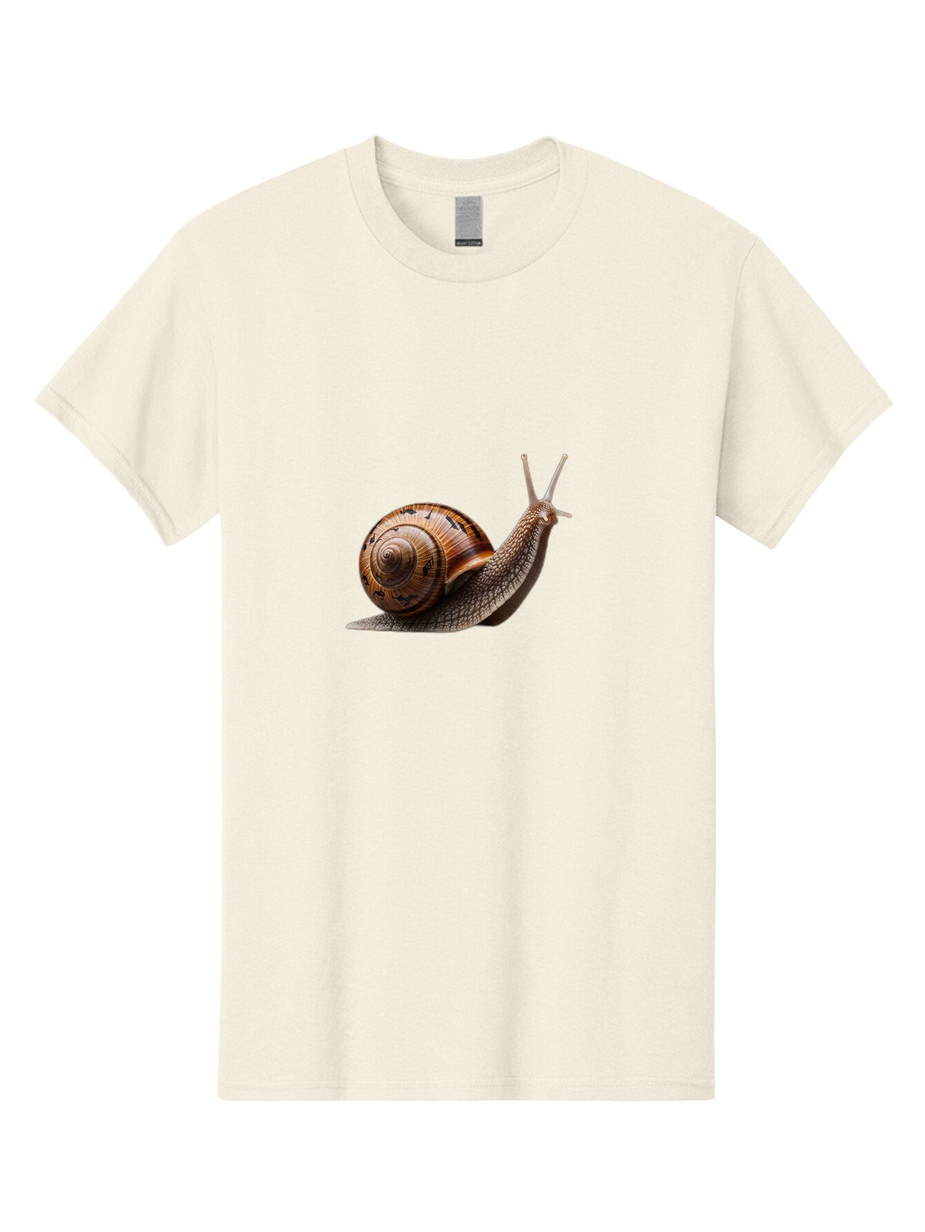 Snail-4 Men'S Graphic Tee, 100% Cotton, Comfortable Casual Summer Wear, Machine Washable, Vintage Camera, Old Camera, Antique Camera, Black Camera, Classic Photography, Photography Equipment, Nostalgic Device, Film Camera, Camera Art Bao911 9