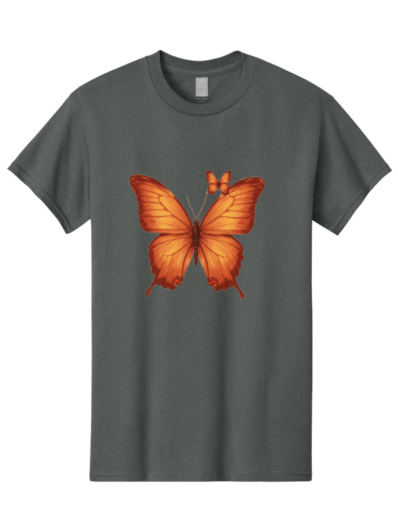 Butterfly-Illustration Men'S Graphic Tee, 100% Cotton, Comfortable Casual Summer Wear, Machine Washable, Vintage Camera, Old Camera, Antique Camera, Black Camera, Classic Photography, Photography Equipment, Nostalgic Device, Film Camera, Bap192 5