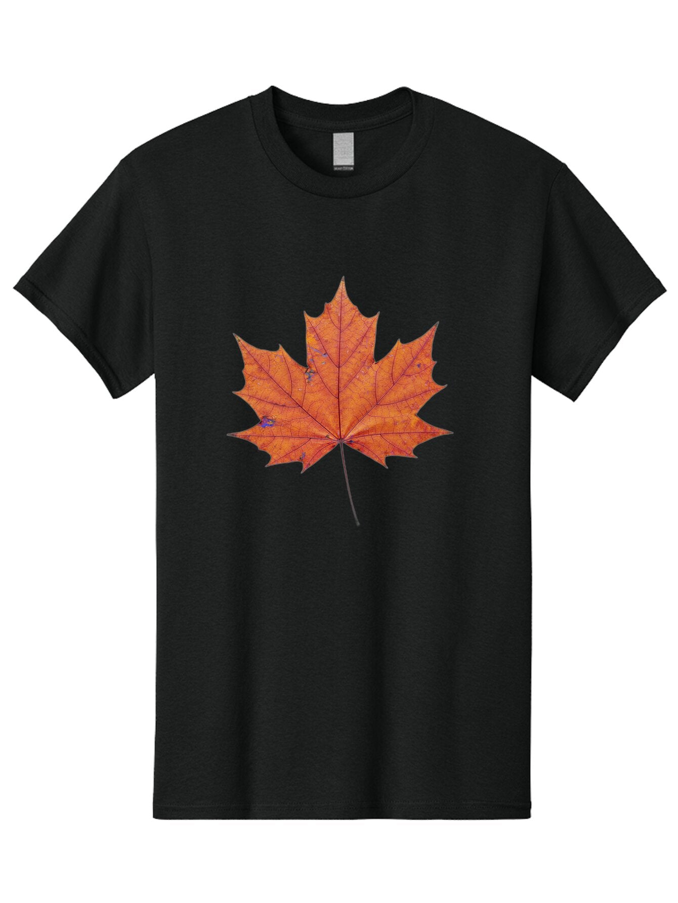 Maple-Leaf Men'S Graphic Tee, 100% Cotton, Comfortable Casual Summer Wear, Machine Washable, Vintage Camera, Old Camera, Antique Camera, Black Camera, Classic Photography, Photography Equipment, Nostalgic Device, Film Camera, Camera Art Bap699 9