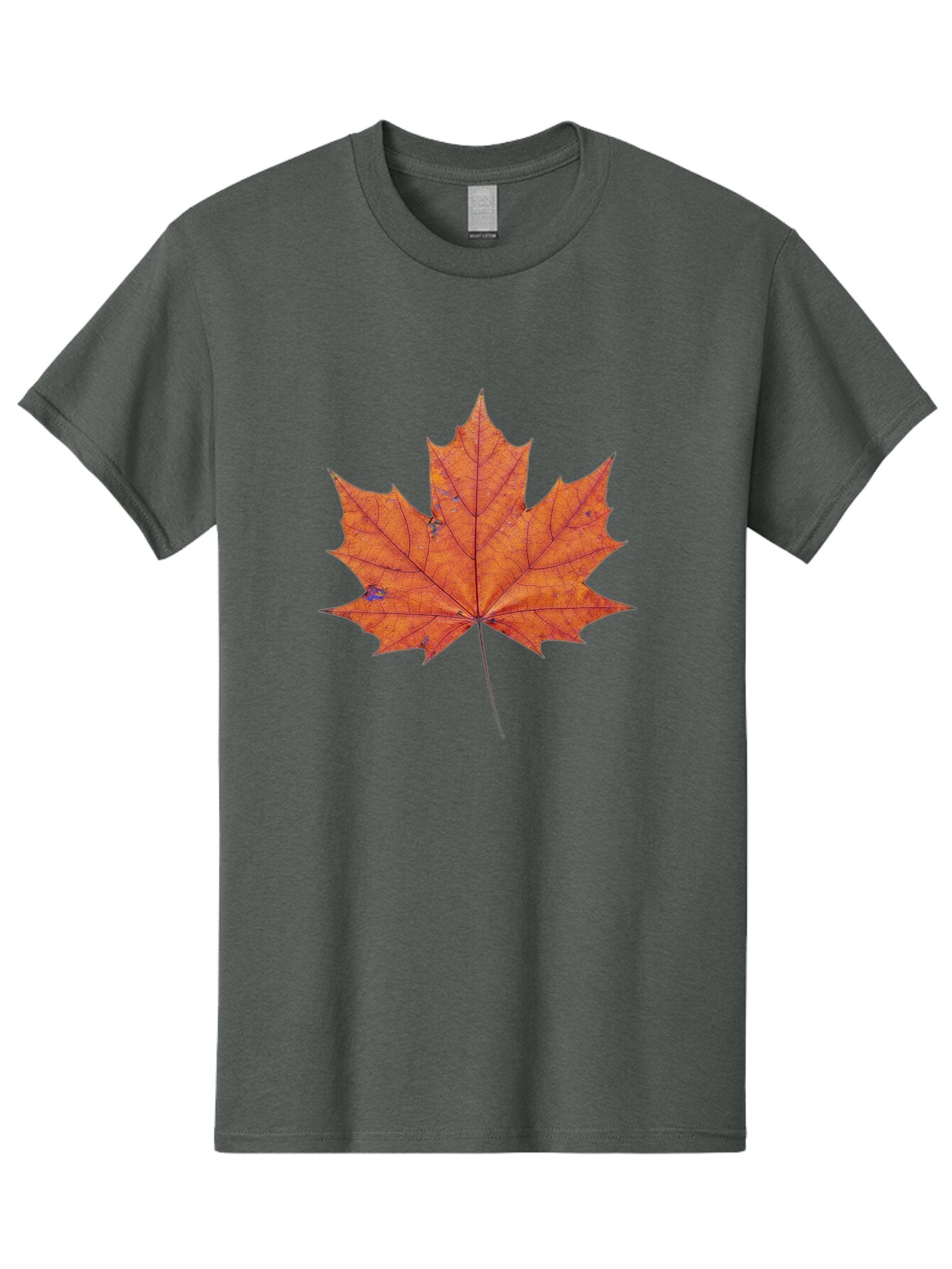 Maple-Leaf Men'S Graphic Tee, 100% Cotton, Comfortable Casual Summer Wear, Machine Washable, Vintage Camera, Old Camera, Antique Camera, Black Camera, Classic Photography, Photography Equipment, Nostalgic Device, Film Camera, Camera Art Bap699 7
