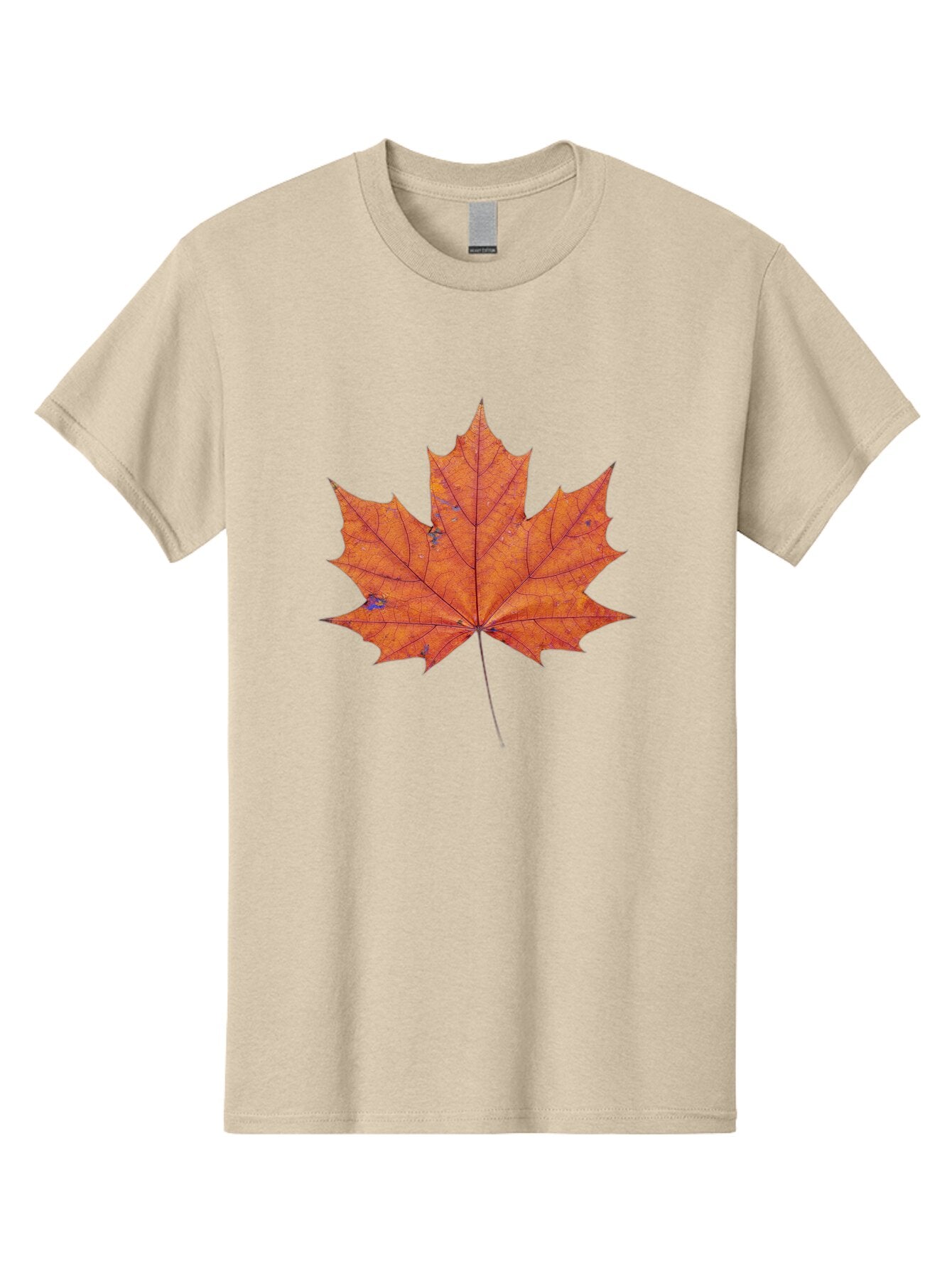 Maple-Leaf Men'S Graphic Tee, 100% Cotton, Comfortable Casual Summer Wear, Machine Washable, Vintage Camera, Old Camera, Antique Camera, Black Camera, Classic Photography, Photography Equipment, Nostalgic Device, Film Camera, Camera Art Bap699 4