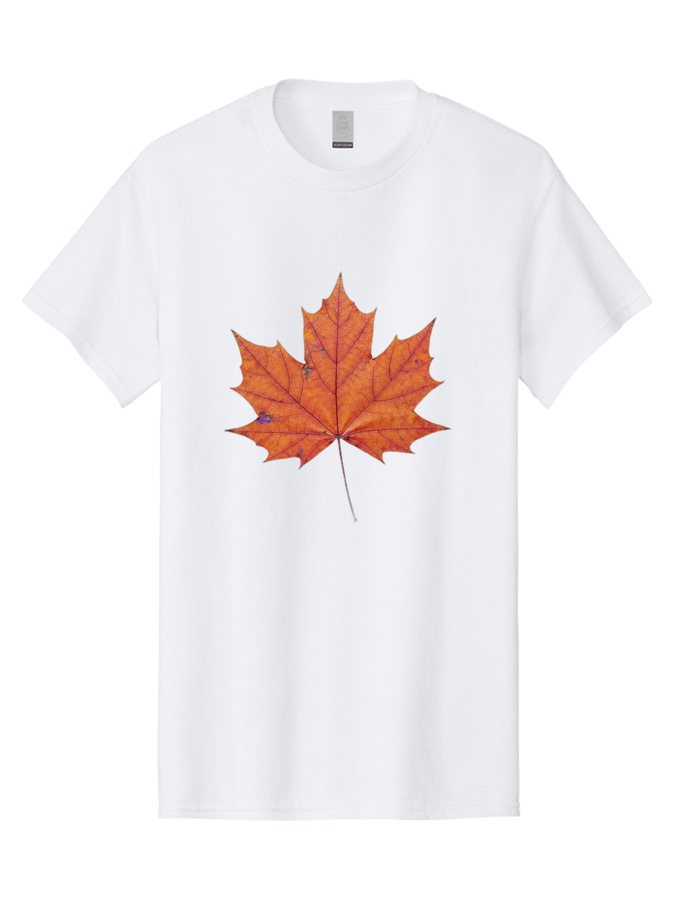 Maple-Leaf Men'S Graphic Tee, 100% Cotton, Comfortable Casual Summer Wear, Machine Washable, Vintage Camera, Old Camera, Antique Camera, Black Camera, Classic Photography, Photography Equipment, Nostalgic Device, Film Camera, Camera Art Bap699 10