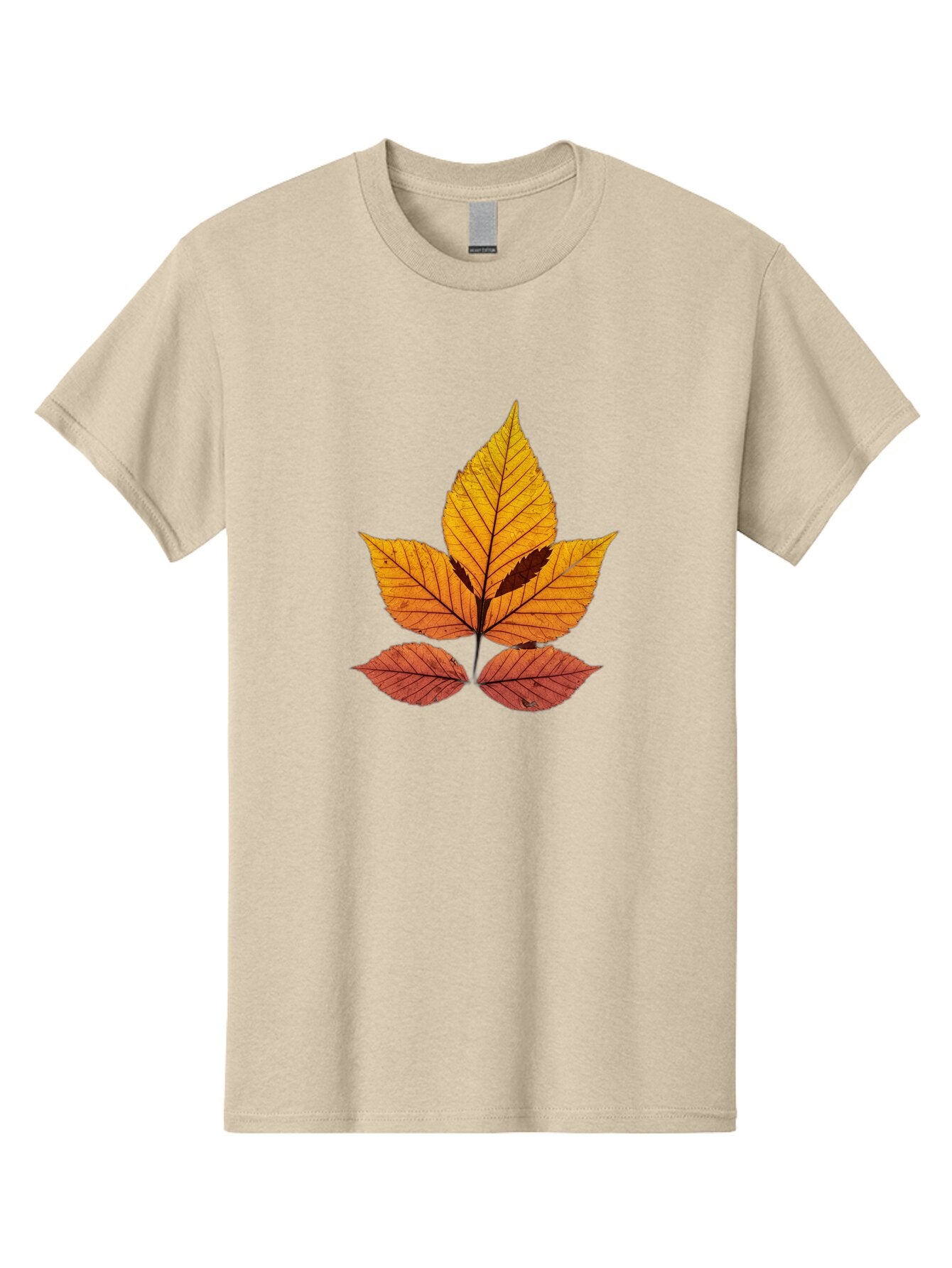 Poison-Ivy Men'S Graphic Tee, 100% Cotton, Comfortable Casual Summer Wear, Machine Washable, Vintage Camera, Old Camera, Antique Camera, Black Camera, Classic Photography, Photography Equipment, Nostalgic Device, Film Camera, Camera Art Bap873 7