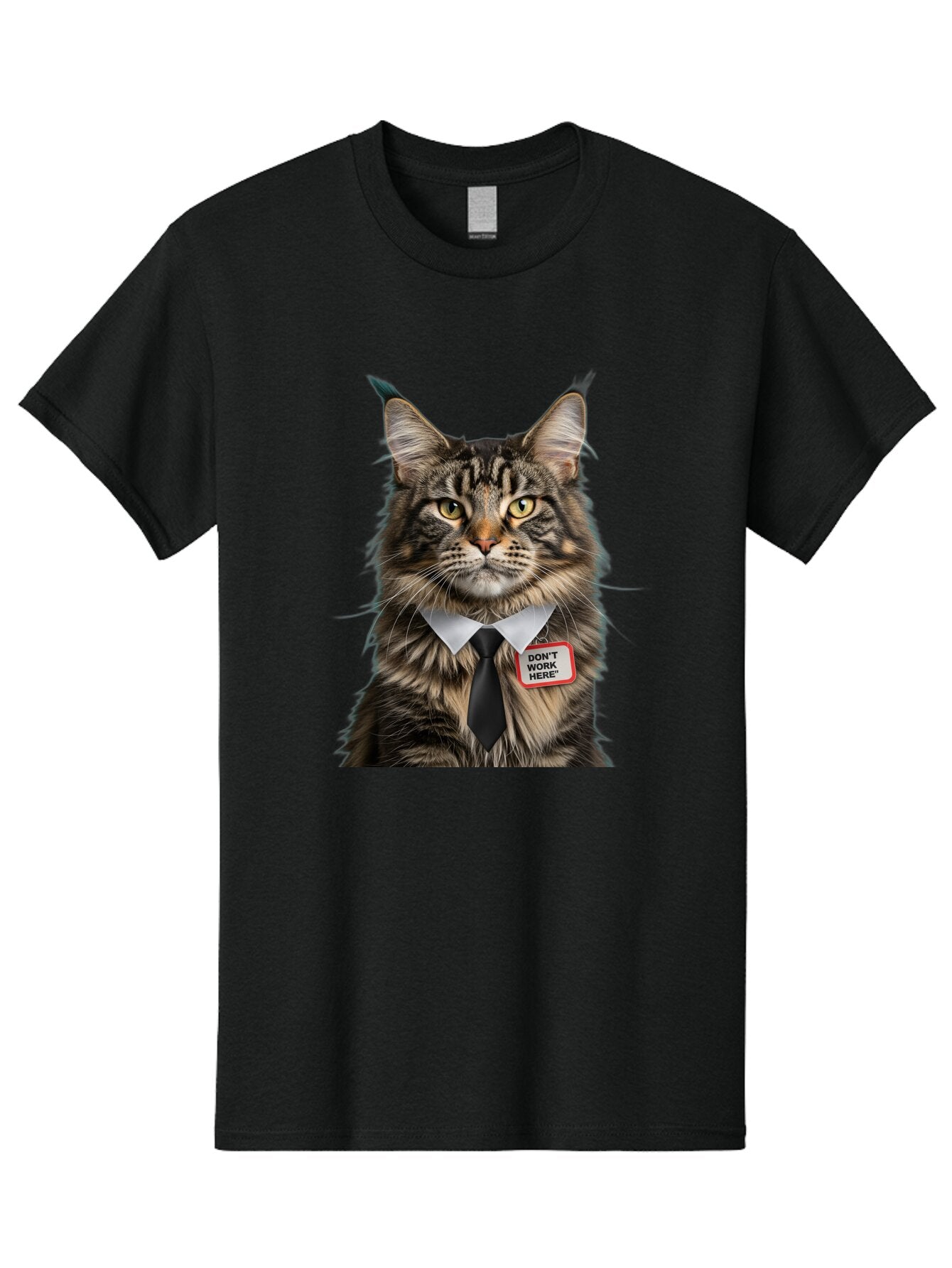 Don-T-Work-Here-Cat-1 Men'S Graphic Tee, 100% Cotton, Comfortable Casual Summer Wear, Machine Washable, Vintage Camera, Old Camera, Antique Camera, Black Camera, Classic Photography, Photography Equipment, Nostalgic Device, Film Camera, Baq717 10