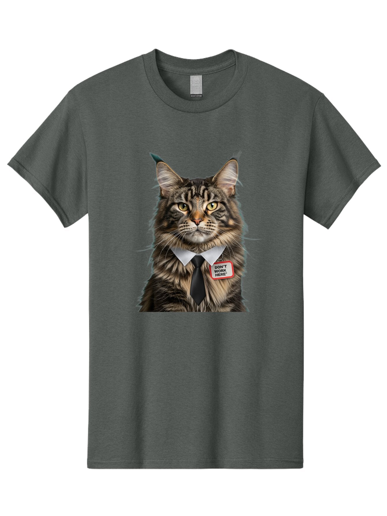 Don-T-Work-Here-Cat-1 Men'S Graphic Tee, 100% Cotton, Comfortable Casual Summer Wear, Machine Washable, Vintage Camera, Old Camera, Antique Camera, Black Camera, Classic Photography, Photography Equipment, Nostalgic Device, Film Camera, Baq717 14