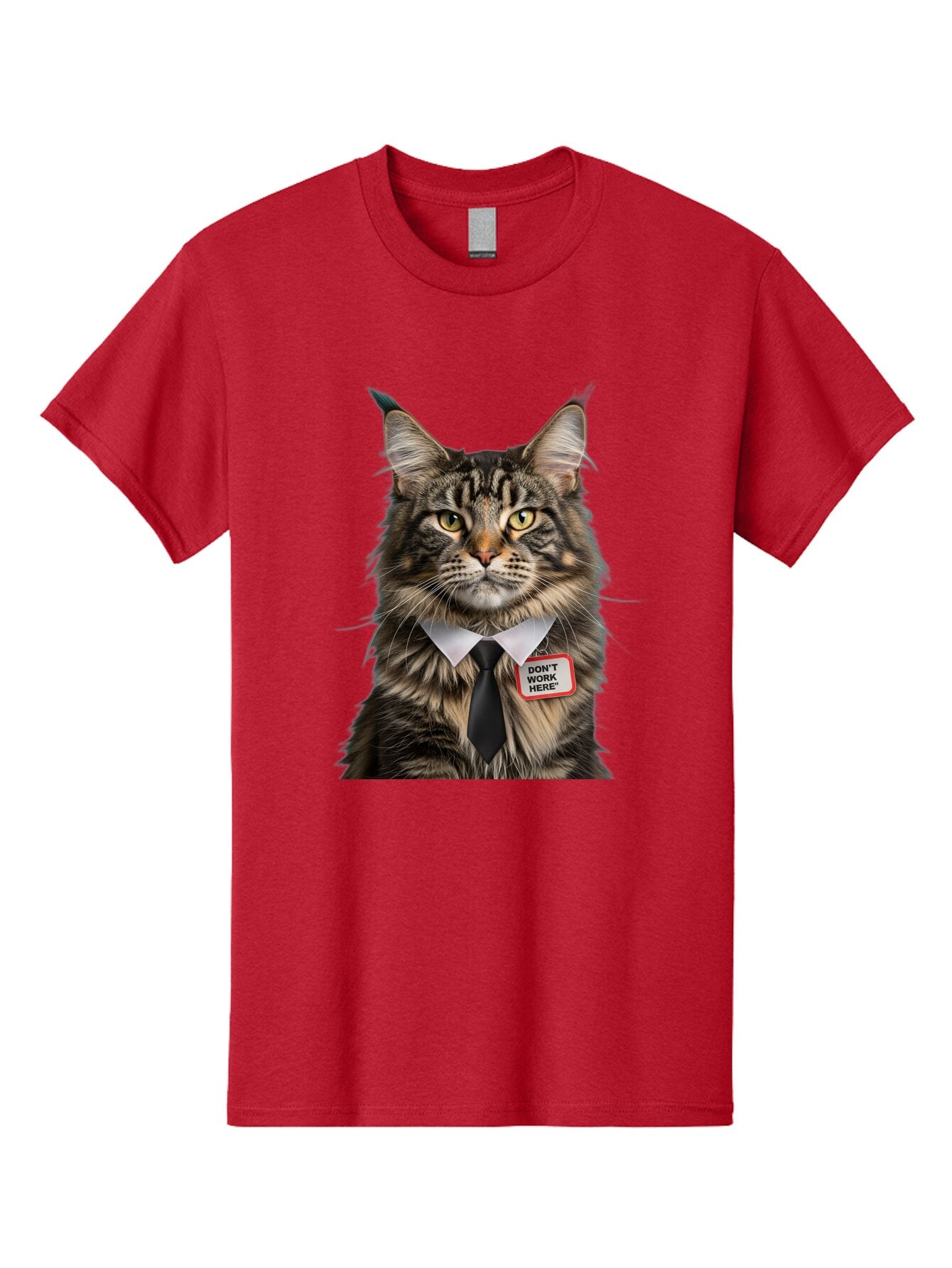 Don-T-Work-Here-Cat-1 Men'S Graphic Tee, 100% Cotton, Comfortable Casual Summer Wear, Machine Washable, Vintage Camera, Old Camera, Antique Camera, Black Camera, Classic Photography, Photography Equipment, Nostalgic Device, Film Camera, Baq717 8