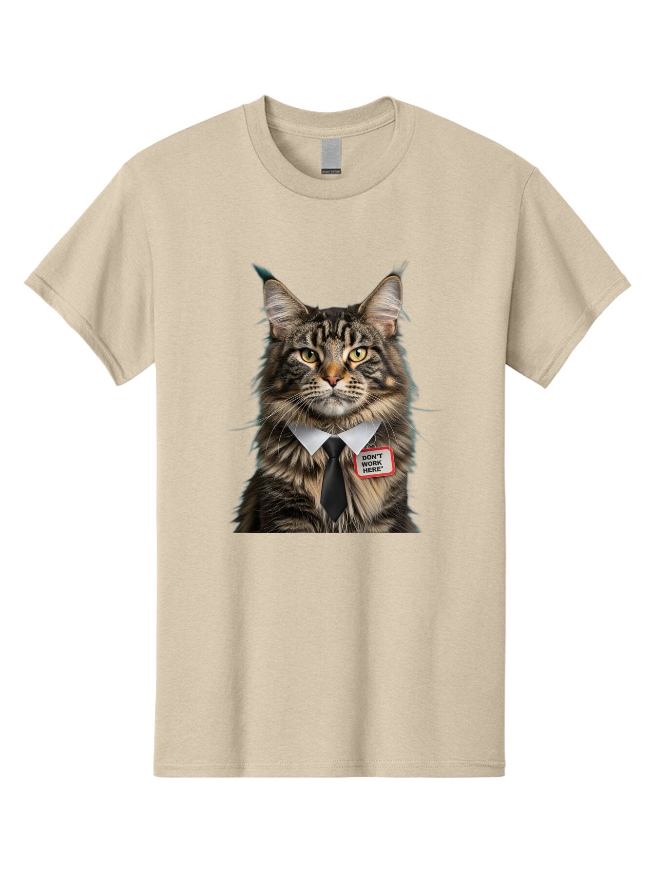 Don-T-Work-Here-Cat-1 Men'S Graphic Tee, 100% Cotton, Comfortable Casual Summer Wear, Machine Washable, Vintage Camera, Old Camera, Antique Camera, Black Camera, Classic Photography, Photography Equipment, Nostalgic Device, Film Camera, Baq717