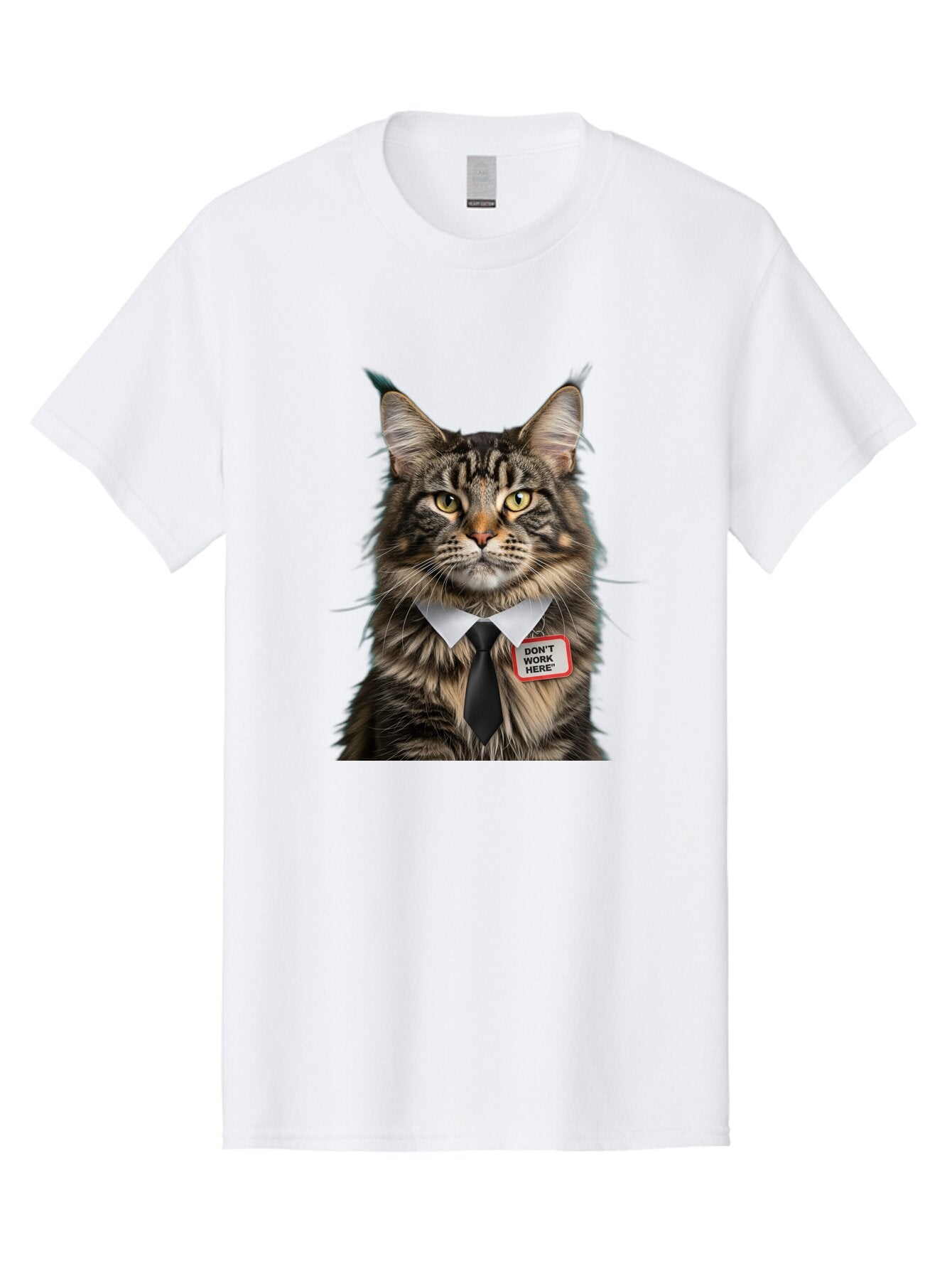 Don-T-Work-Here-Cat-1 Men'S Graphic Tee, 100% Cotton, Comfortable Casual Summer Wear, Machine Washable, Vintage Camera, Old Camera, Antique Camera, Black Camera, Classic Photography, Photography Equipment, Nostalgic Device, Film Camera, Baq717 9