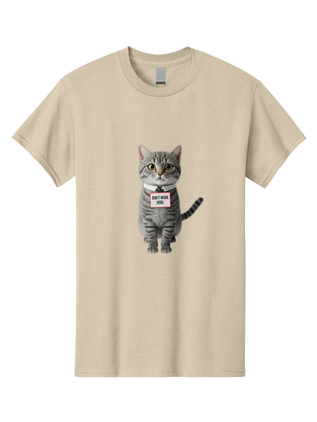 Don-T-Work-Here-Cat-3 Men'S Graphic Tee, 100% Cotton, Comfortable Casual Summer Wear, Machine Washable, Vintage Camera, Old Camera, Antique Camera, Black Camera, Classic Photography, Photography Equipment, Nostalgic Device, Film Camera, Baq719 12