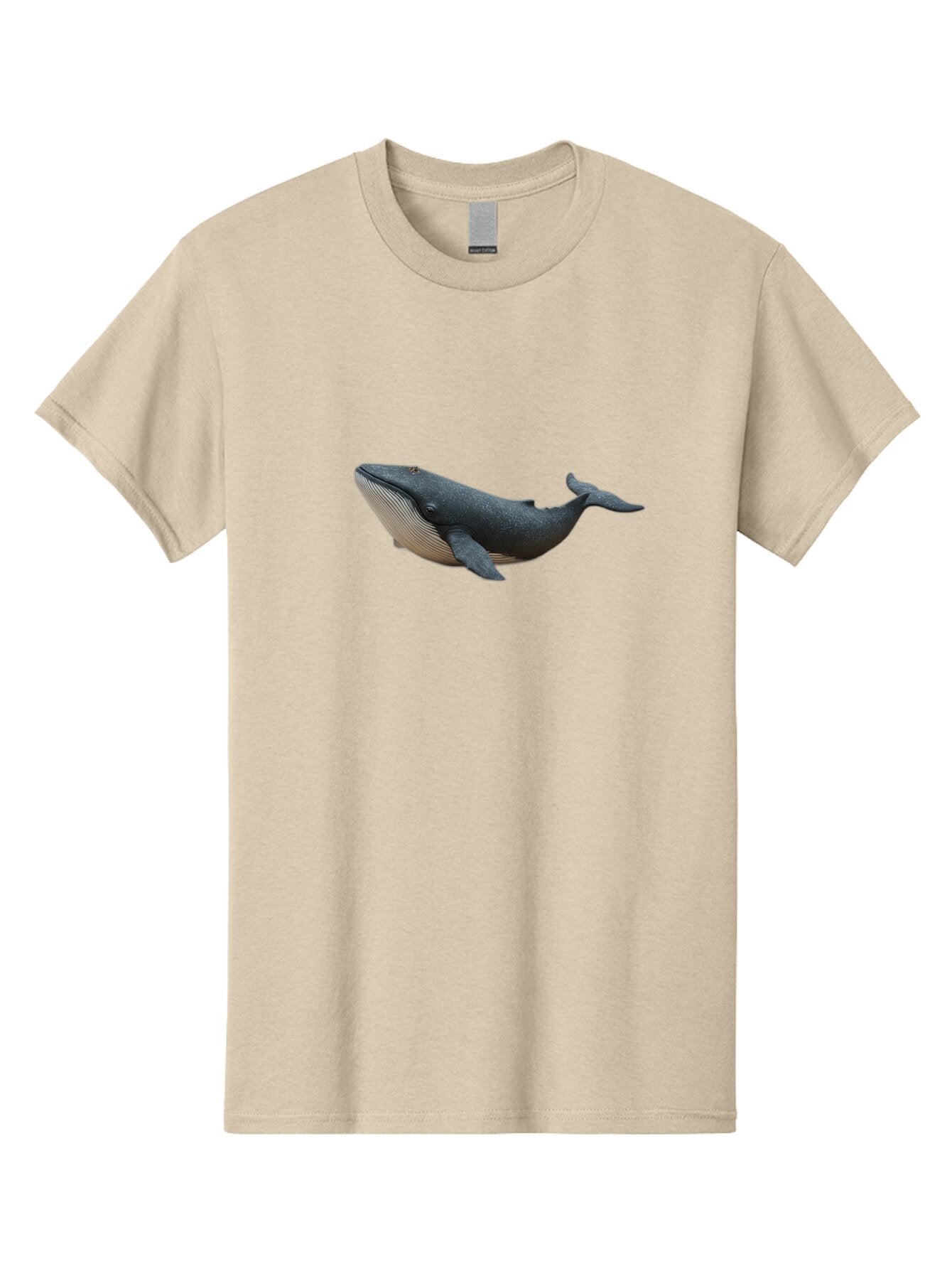 Humpback-Whale-1 Men'S Graphic Tee, 100% Cotton, Comfortable Casual Summer Wear, Machine Washable, Vintage Camera, Old Camera, Antique Camera, Black Camera, Classic Photography, Photography Equipment, Nostalgic Device, Film Camera, Camera Art Baq989 5