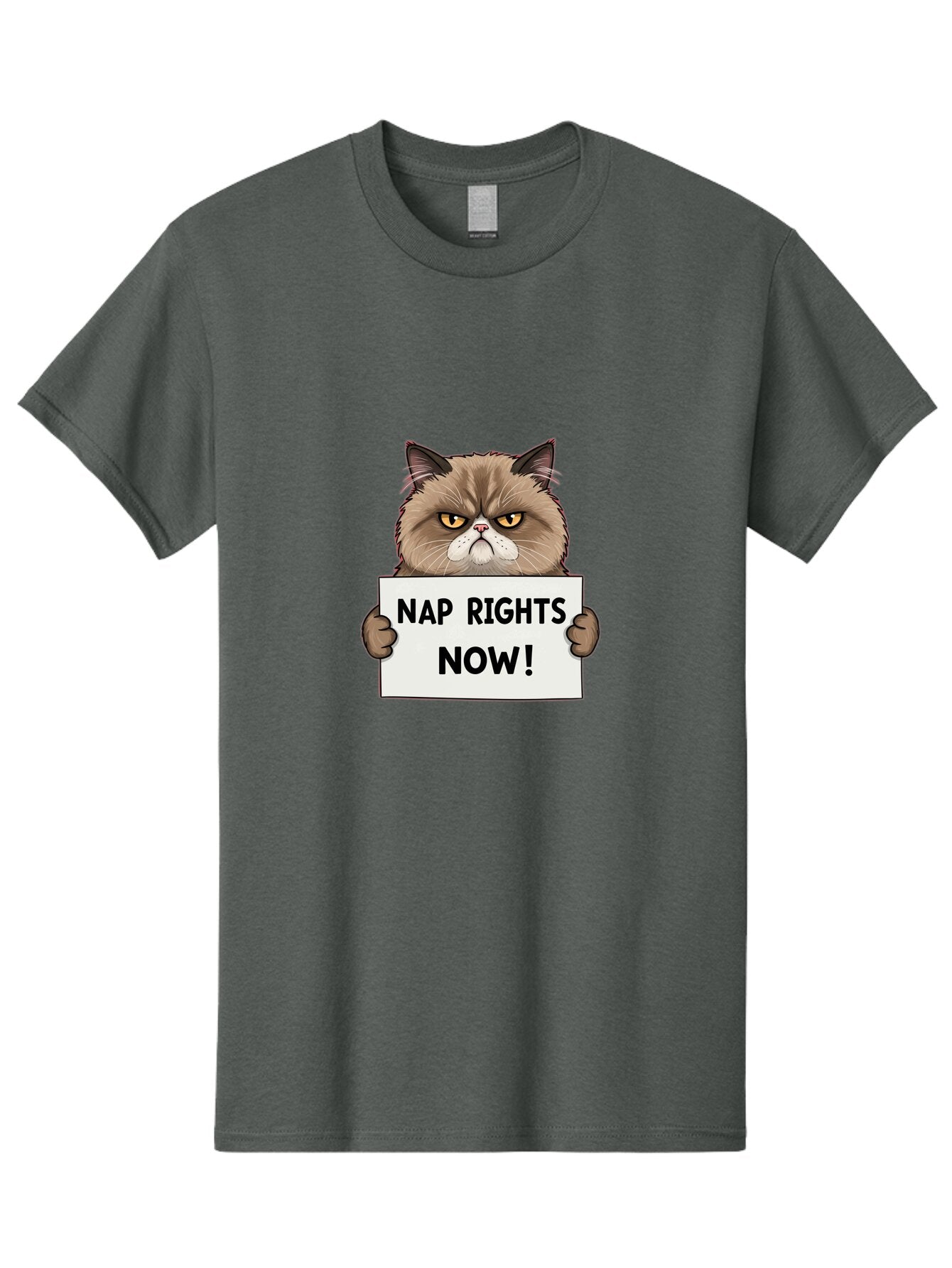 Nap-Rights-Now-1 Men'S Graphic Tee, 100% Cotton, Comfortable Casual Summer Wear, Machine Washable, Vintage Camera, Old Camera, Antique Camera, Black Camera, Classic Photography, Photography Equipment, Nostalgic Device, Film Camera, Camera Art Bar196 10