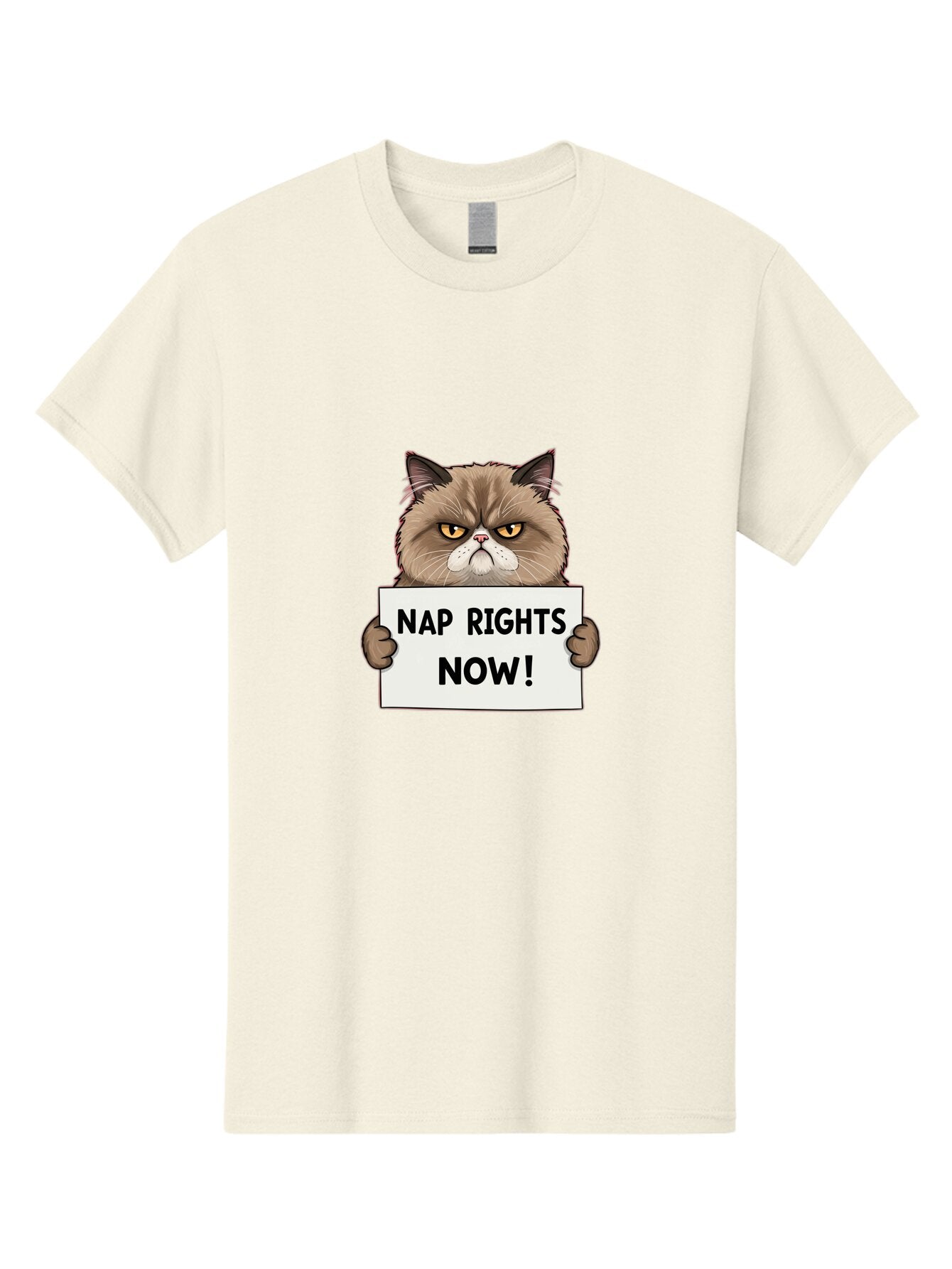 Nap-Rights-Now-1 Men'S Graphic Tee, 100% Cotton, Comfortable Casual Summer Wear, Machine Washable, Vintage Camera, Old Camera, Antique Camera, Black Camera, Classic Photography, Photography Equipment, Nostalgic Device, Film Camera, Camera Art Bar196 13